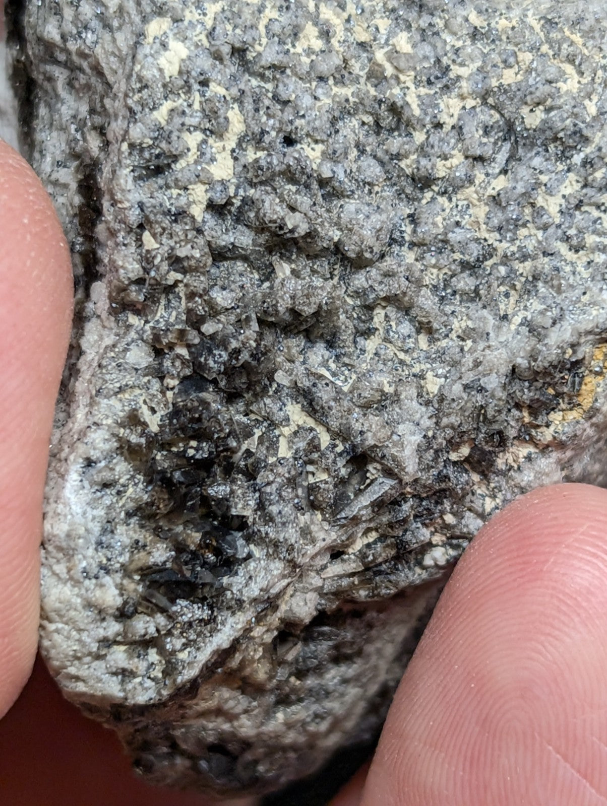 A rough, grayish-black rock with speckled white and dark mineral inclusions.