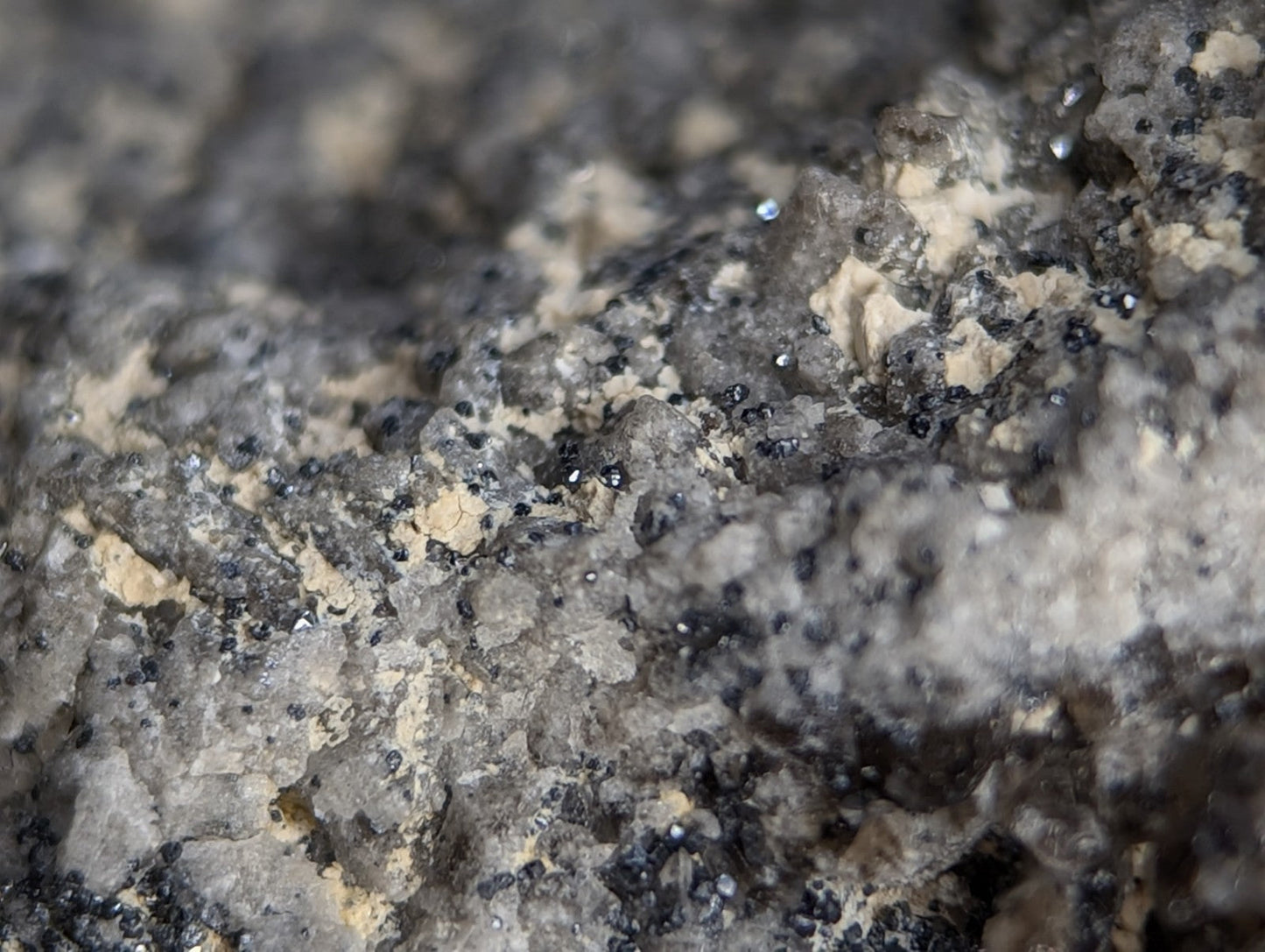 A rugged, speckled rock surface with a mottled gray and black texture interspersed with patches of pale beige.