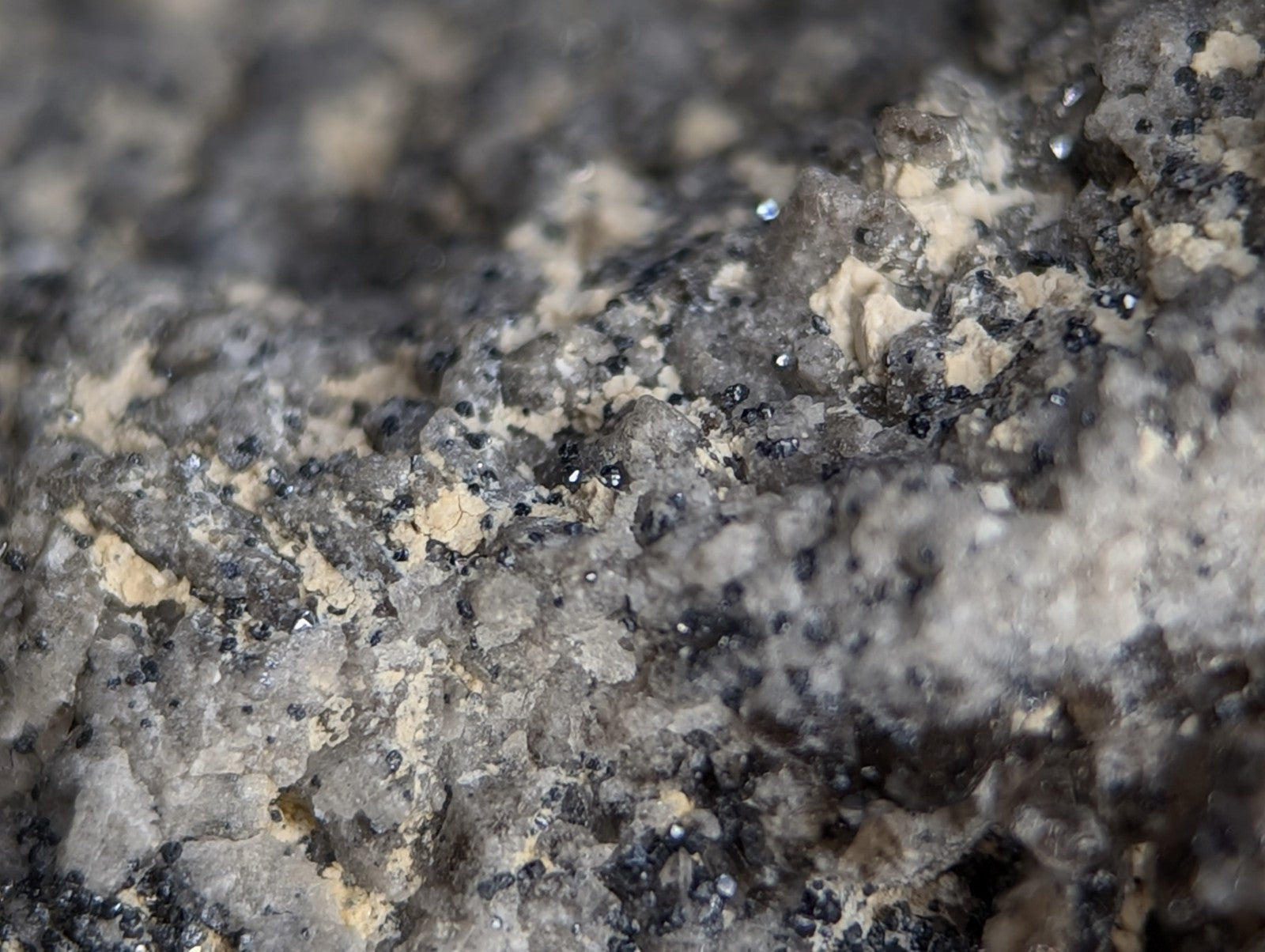 A rugged, speckled rock surface with a mottled gray and black texture interspersed with patches of pale beige.