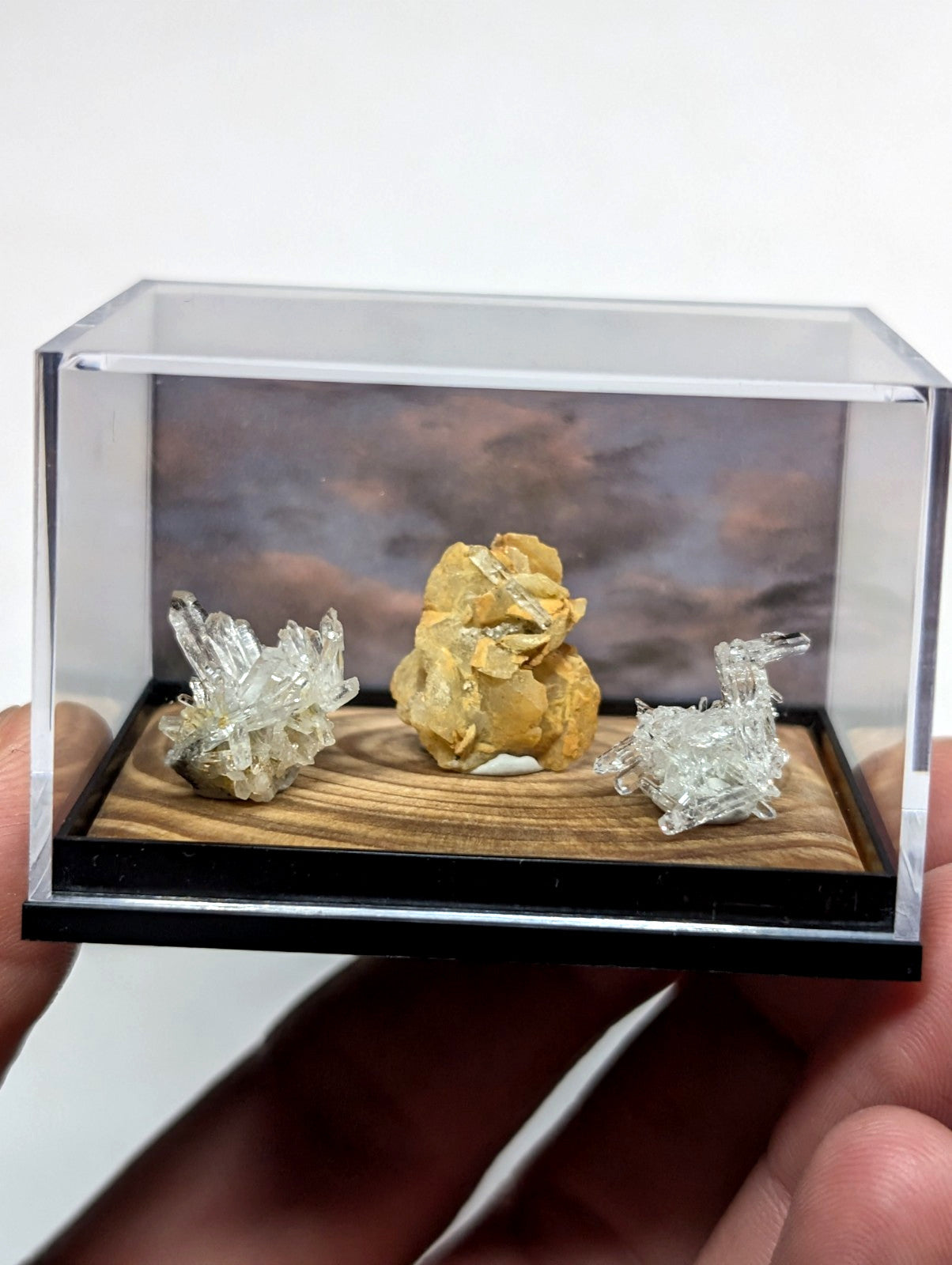 透明亚克力展示盒内陈列着三件矿物标本，包括两簇晶莹剔透的水晶和一块黄褐色岩石。