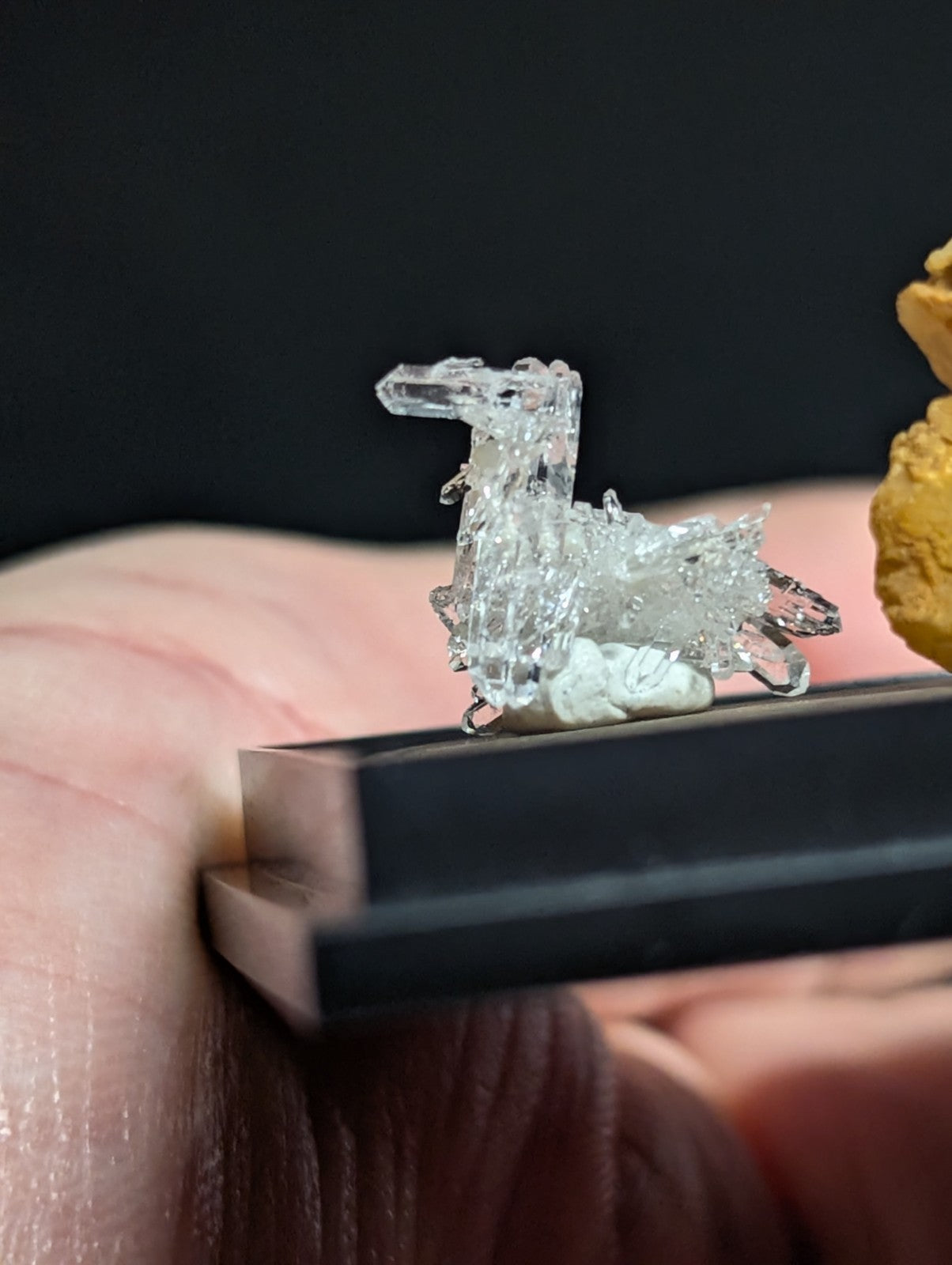 A clear, crystalline mineral specimen shaped like a miniature deer with sharp facets and transparent structure.