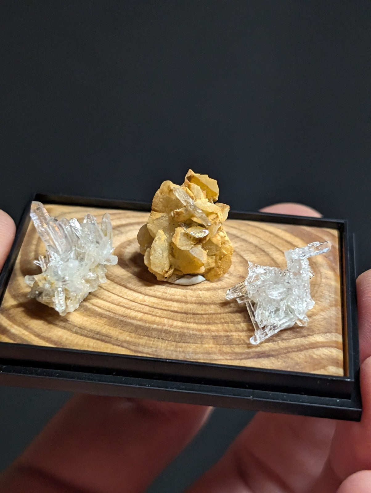 A miniature wooden display tray holding three distinct mineral specimens: a cluster of clear quartz crystals, a golden-yellow crystalline formation, and another transparent crystal arrangement.