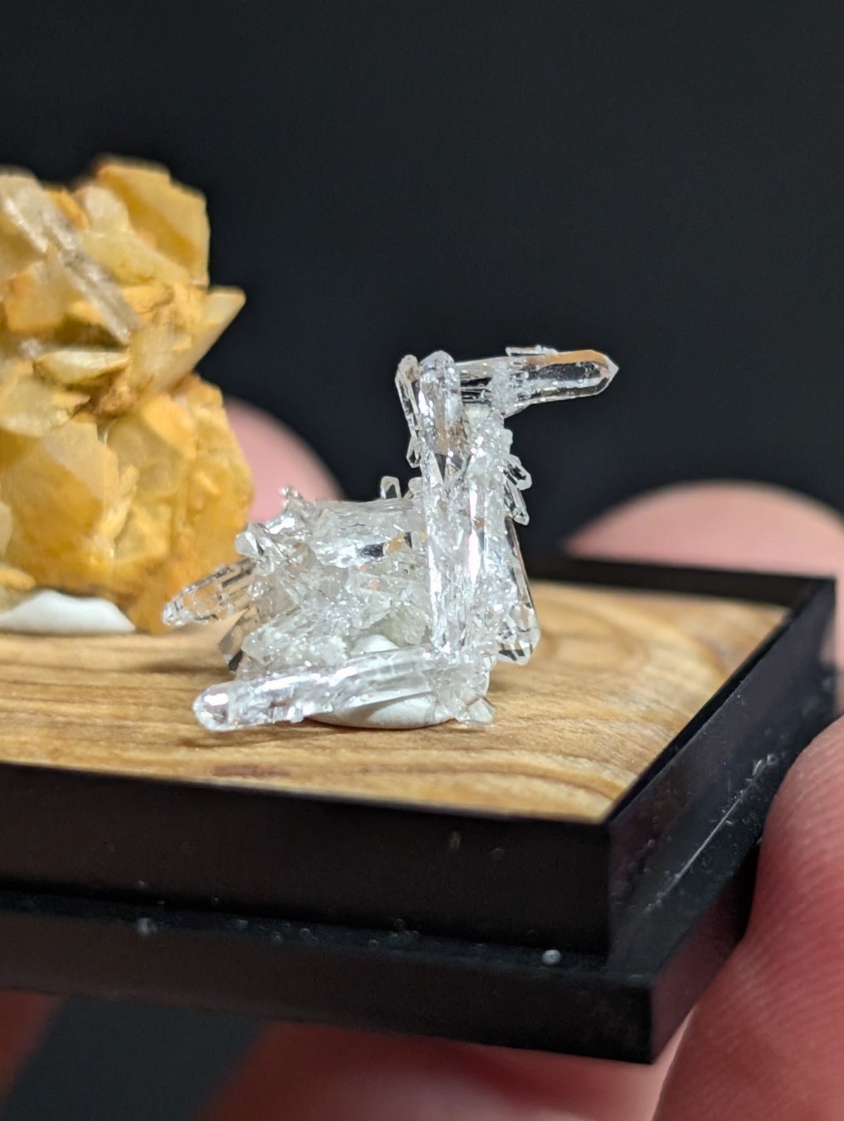 A clear, crystalline quartz geode formation shaped like a deer.