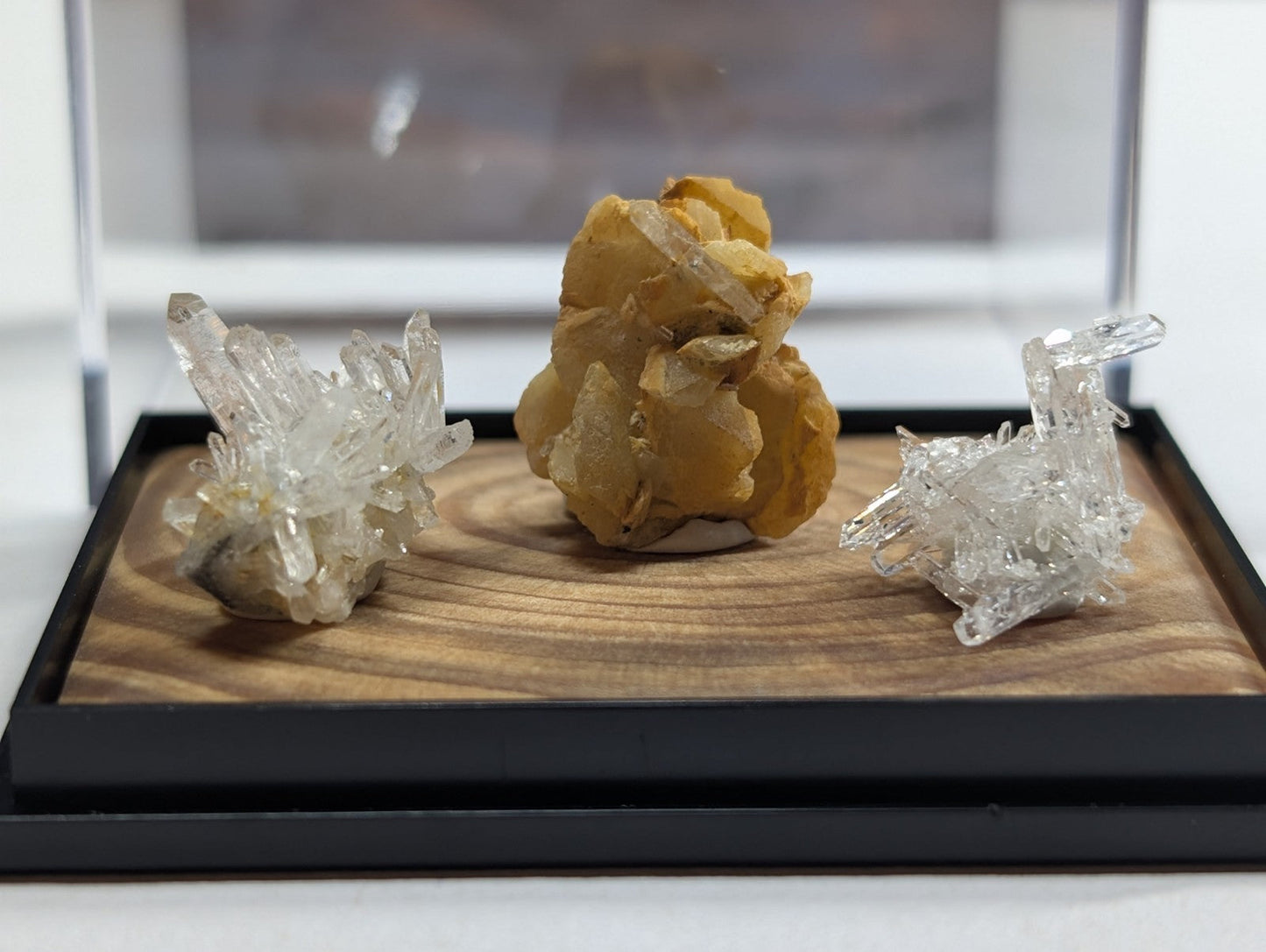 A golden-yellow quartz crystal cluster with translucent, interlocking facets sits prominently on a dark wood display tray.