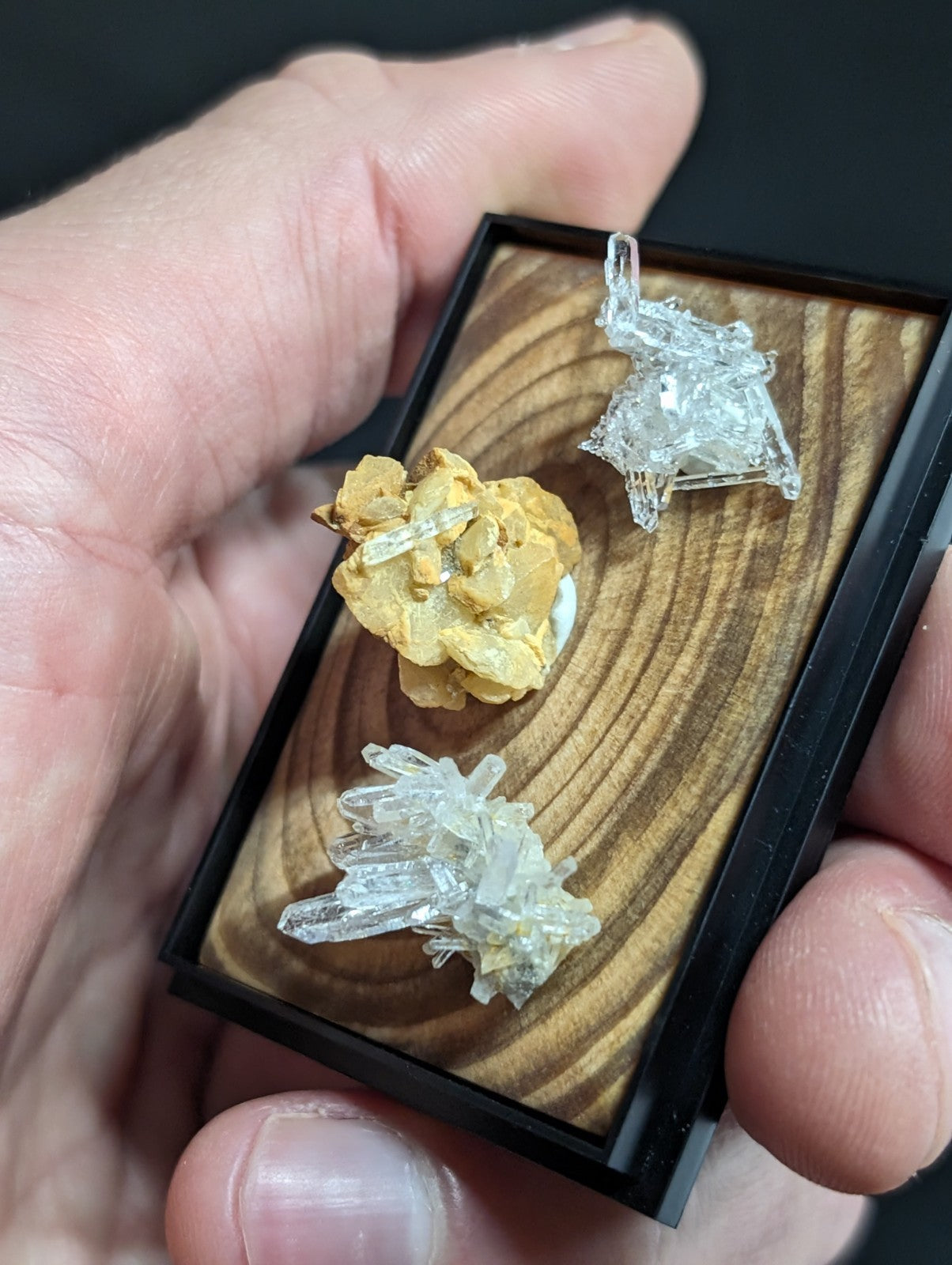 A hand holds a black-framed wooden display case showcasing three distinct mineral specimens: one with golden-yellow matrix and clear quartz crystals, another featuring translucent crystal clusters, and the third displaying sharp, transparent crystalline formations.
