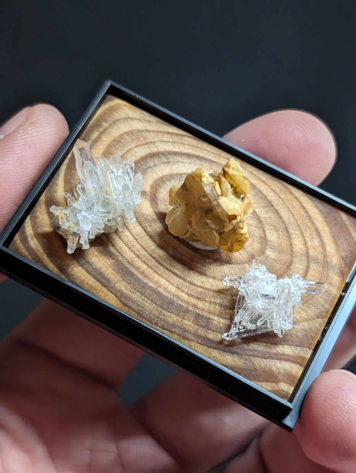 A hand holds a black-framed display box containing three distinct mineral specimens: two clear, crystalline quartz formations and one golden-yellow rock sample.