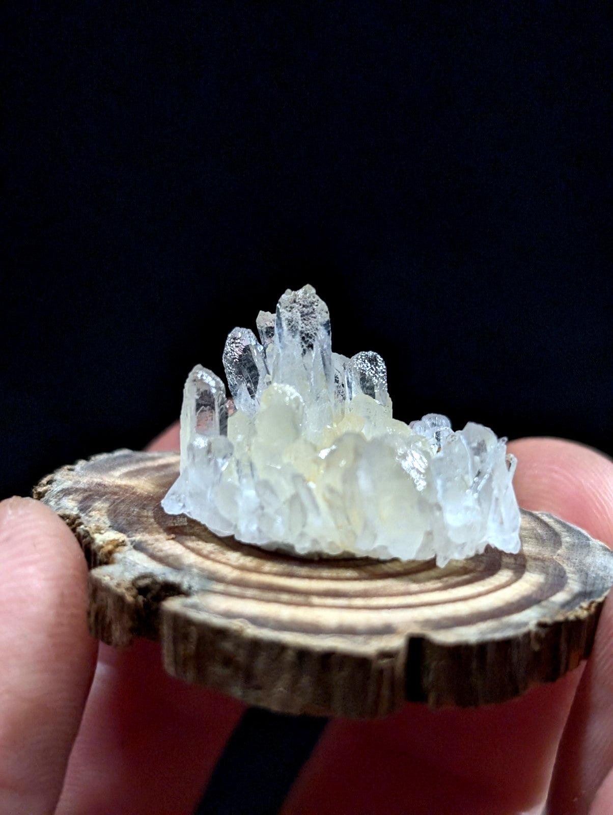 A translucent, crystalline quartz cluster with sharp, pointed formations rests elegantly on a rustic wooden slice.
