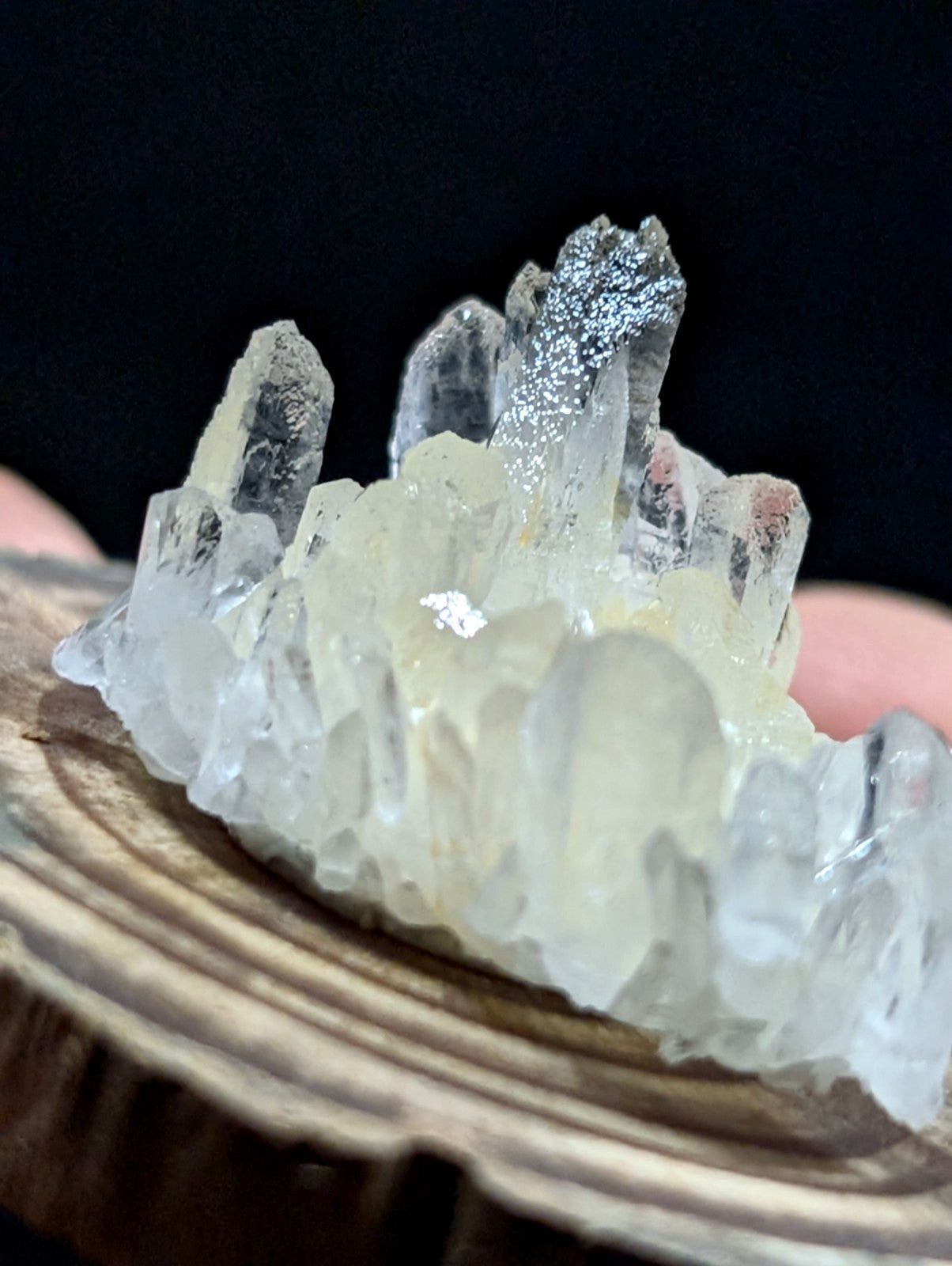 A translucent, pale yellow quartz crystal cluster with sharp, pointed formations and some darker, speckled tips.