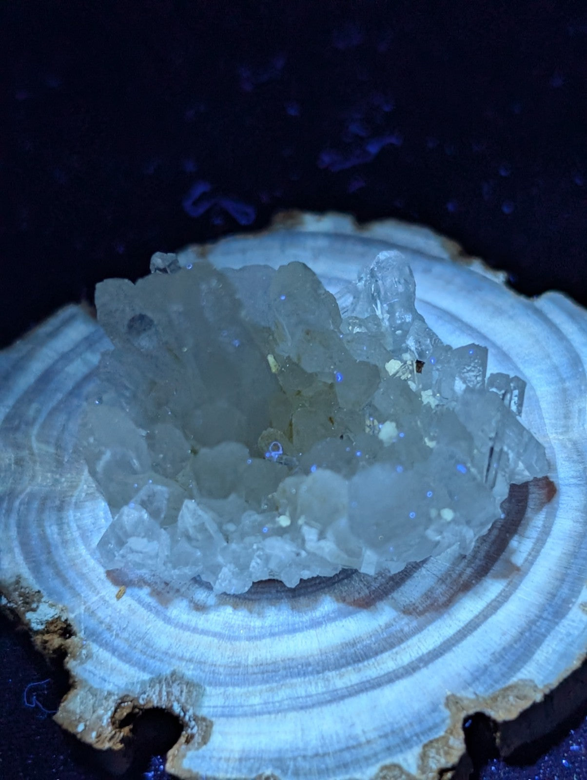 A translucent, crystalline geode with a cluster of clear quartz formations nestled within a circular wooden slice.