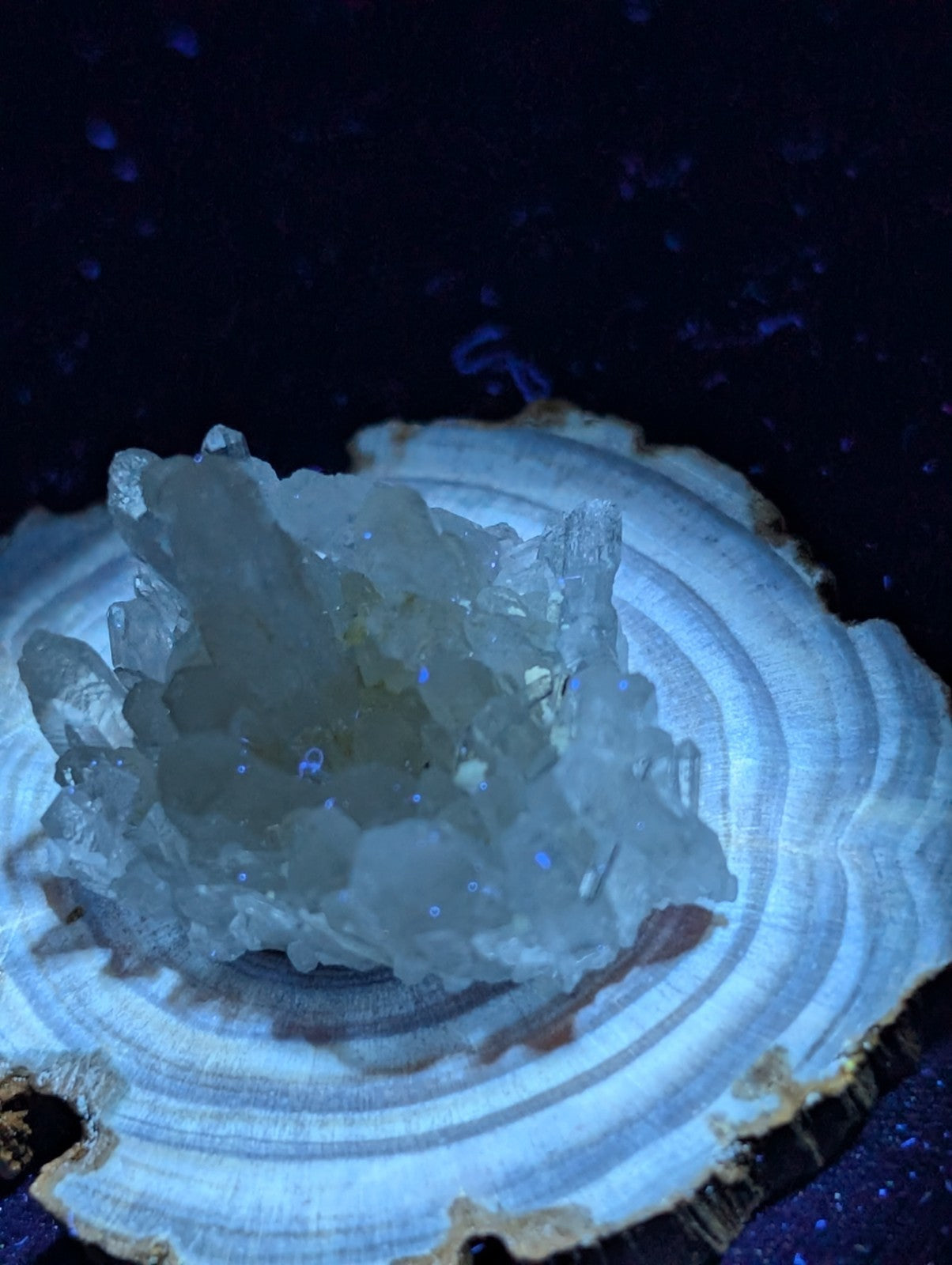 A translucent, crystalline geode with a pale blue glow rests on a circular wooden slice.