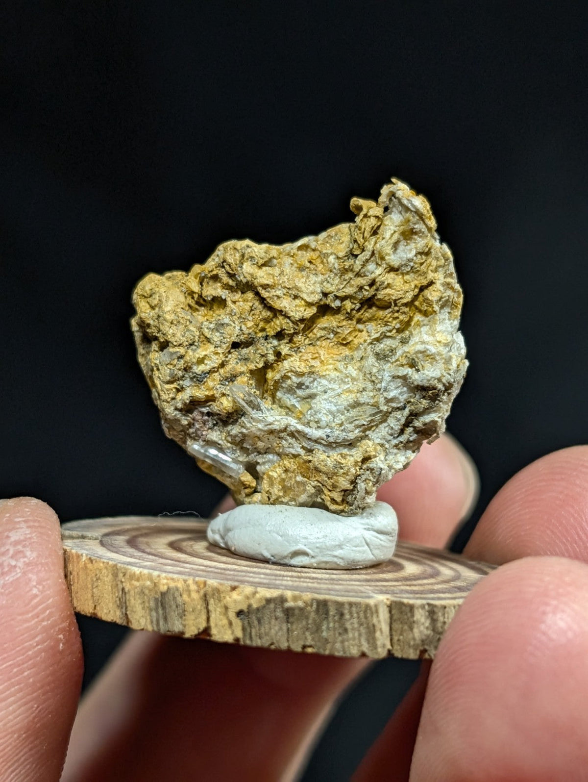 A rugged, irregularly shaped mineral specimen with a mottled yellow and gray surface rests on a small white pedestal atop a circular wooden slice.