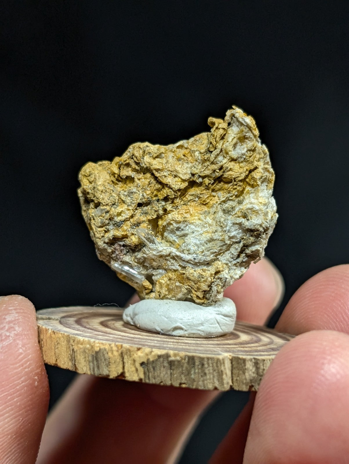 A rugged, irregularly shaped mineral specimen with a mottled yellow and gray surface rests on a small white pedestal atop a circular wooden slice.