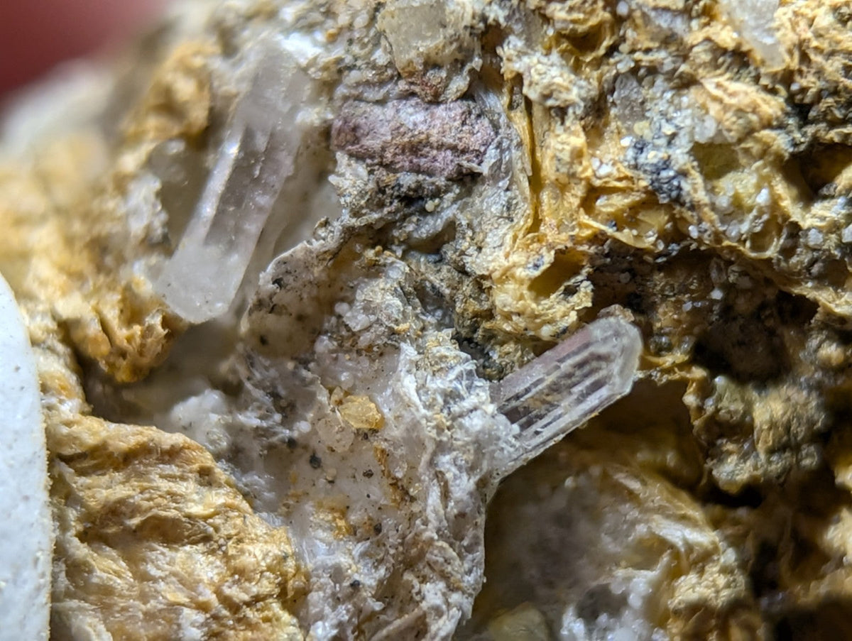Clear quartz crystals emerge from a textured, golden-yellow rock matrix.
