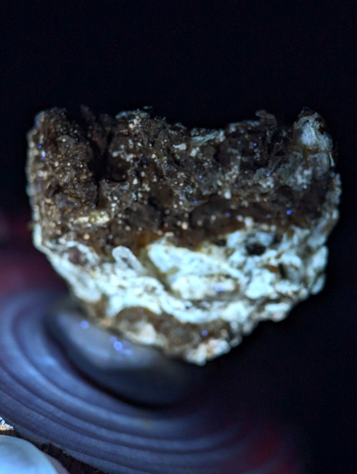 A dark brown and white crystalline geode with glittering, faceted mineral formations.