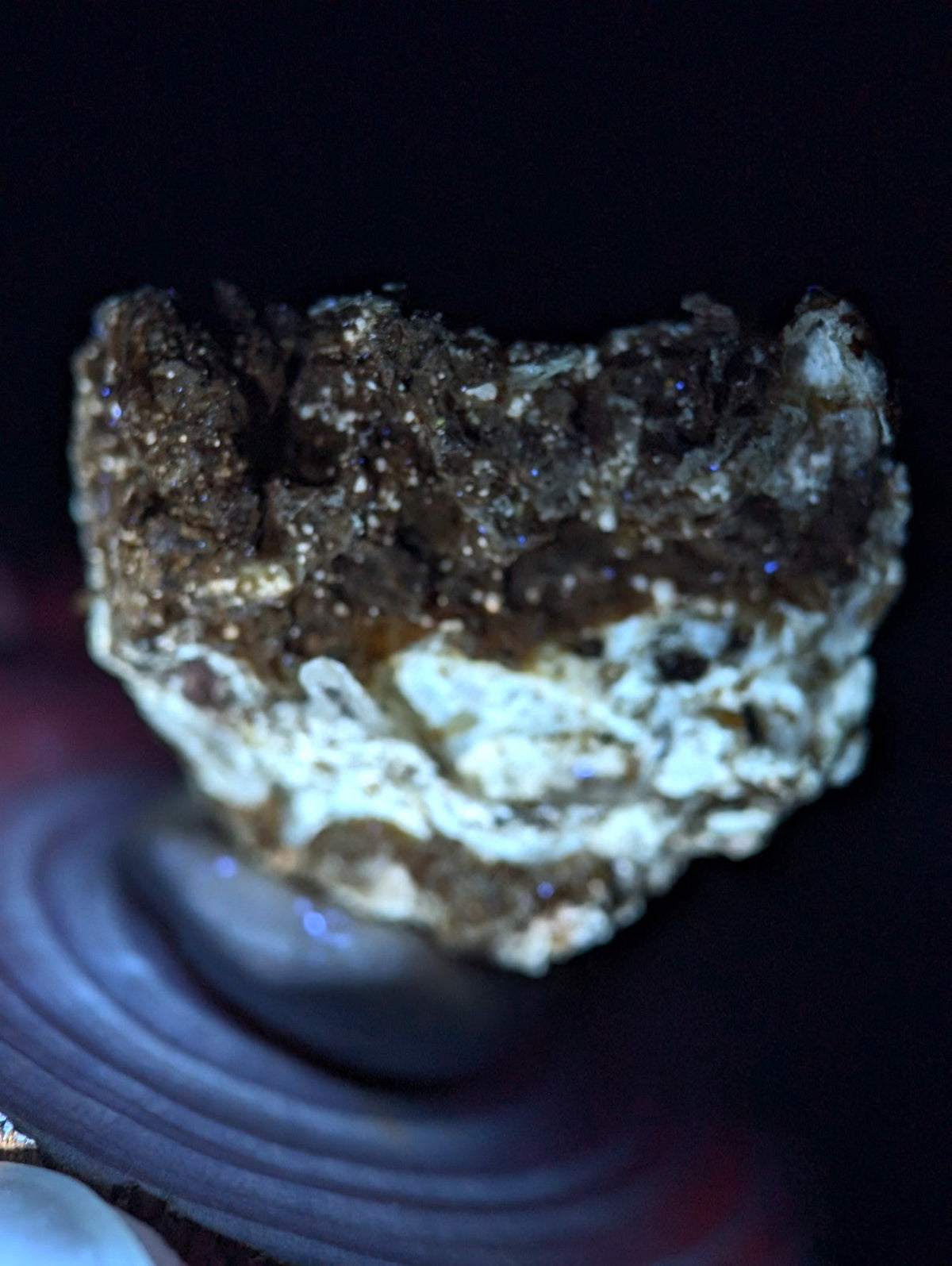 A dark brown and white crystalline geode with glittering, faceted mineral formations.