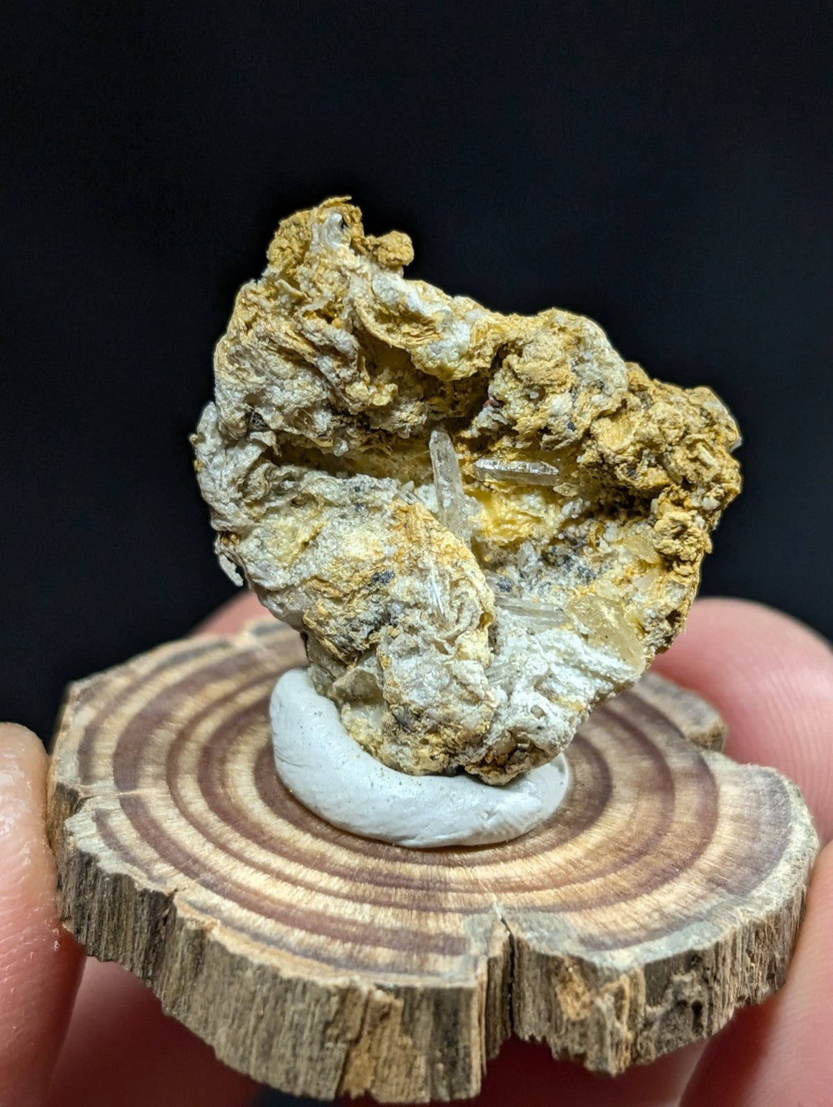 A rugged, yellowish-brown mineral specimen with translucent quartz crystals embedded in its rocky matrix.