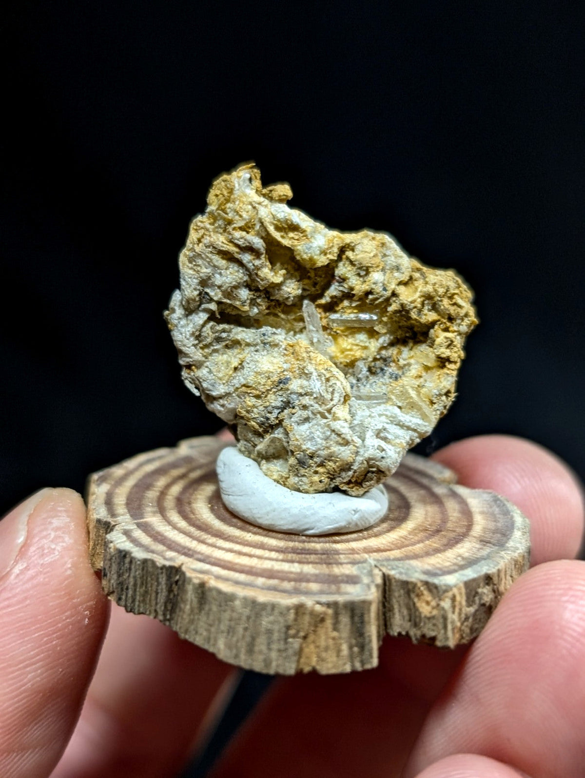 A rugged, golden-yellow and white mineral specimen with a crystalline inclusion sits atop a circular wooden slice.