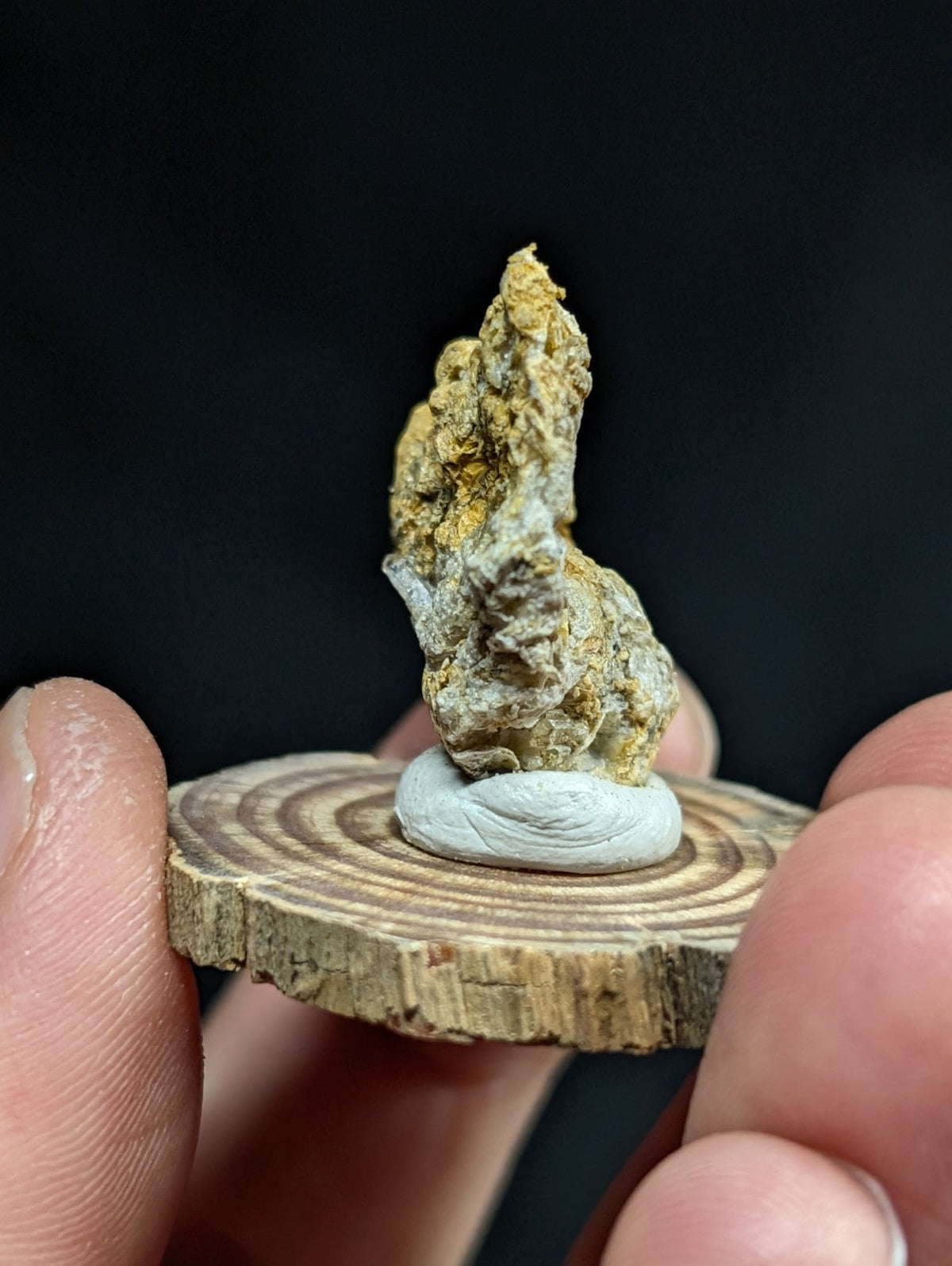 A textured, earthy-toned mineral specimen with golden and grayish hues rests on a smooth white base atop a circular wooden slice.