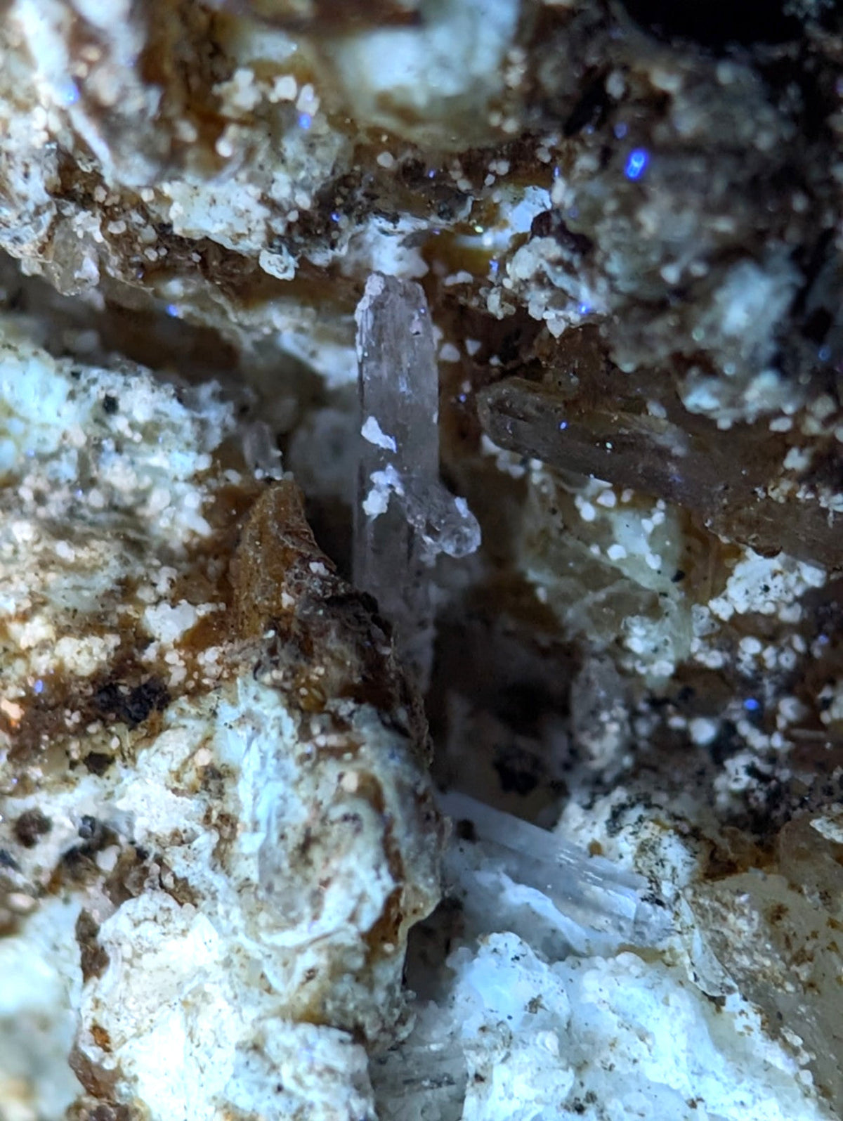 A translucent quartz crystal with a pointed tip, embedded in a matrix of white and brown mineral deposits.