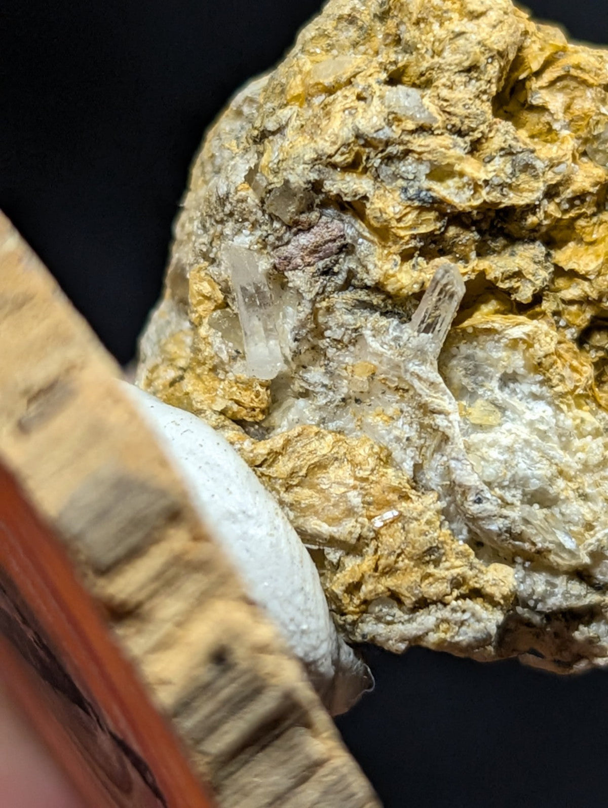 A rugged, golden-yellow mineral specimen with translucent quartz crystals embedded in its textured matrix.