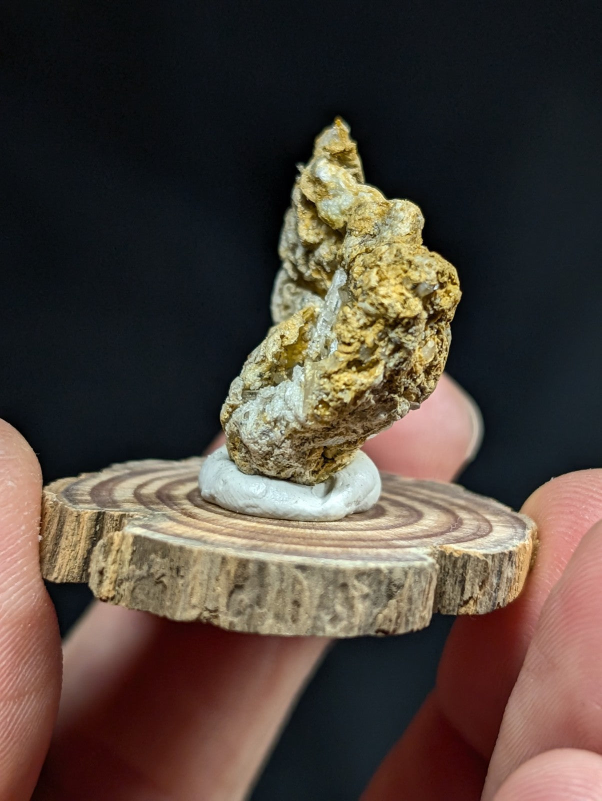 A rugged, golden-yellow mineral specimen with a rough, textured surface and hints of white crystalline formations is displayed on a circular wooden slice.