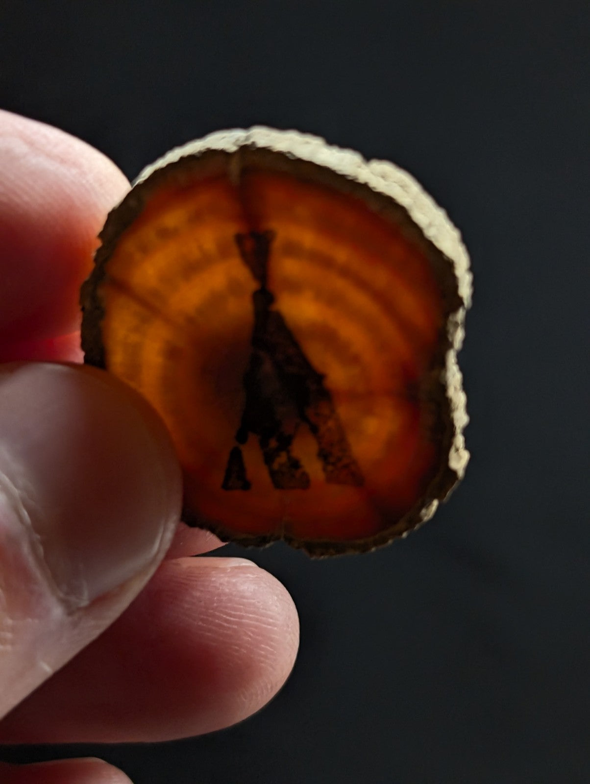A hand holds a circular, translucent amber slice with concentric orange and brown bands, featuring an engraved black silhouette of a teepee.