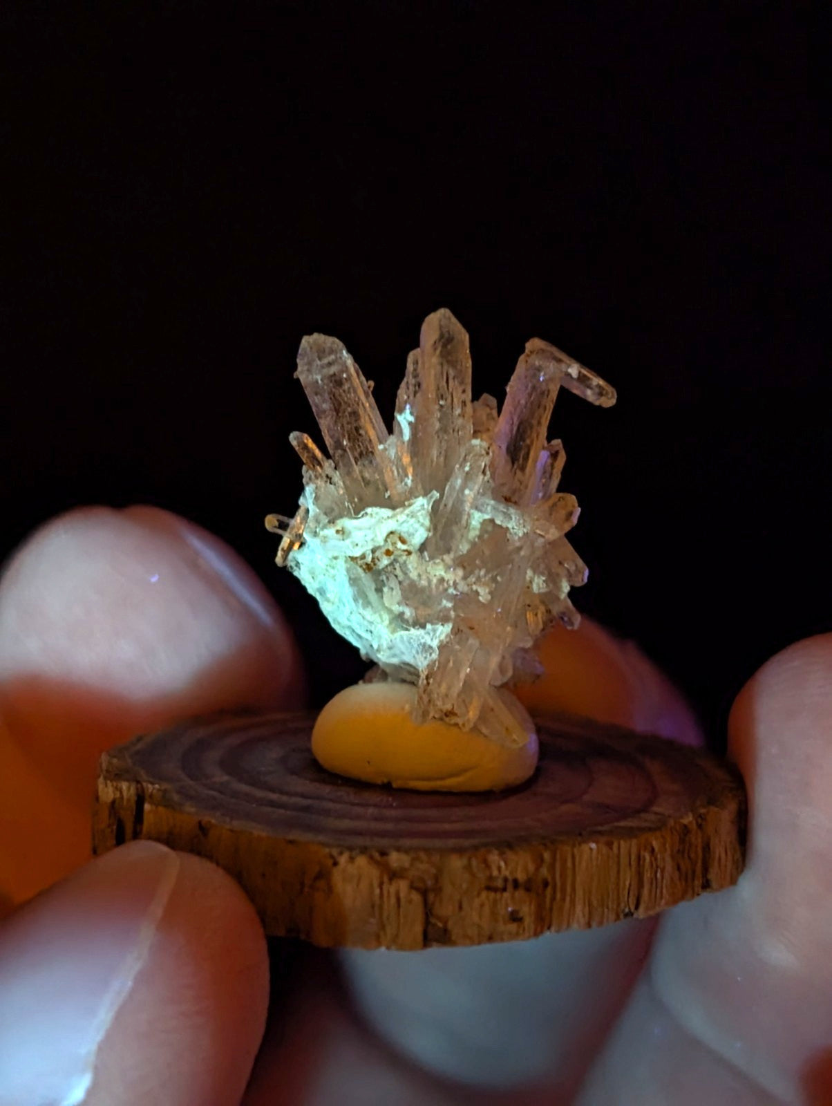 A translucent, crystalline mineral cluster with golden accents rests on a circular wooden slice.