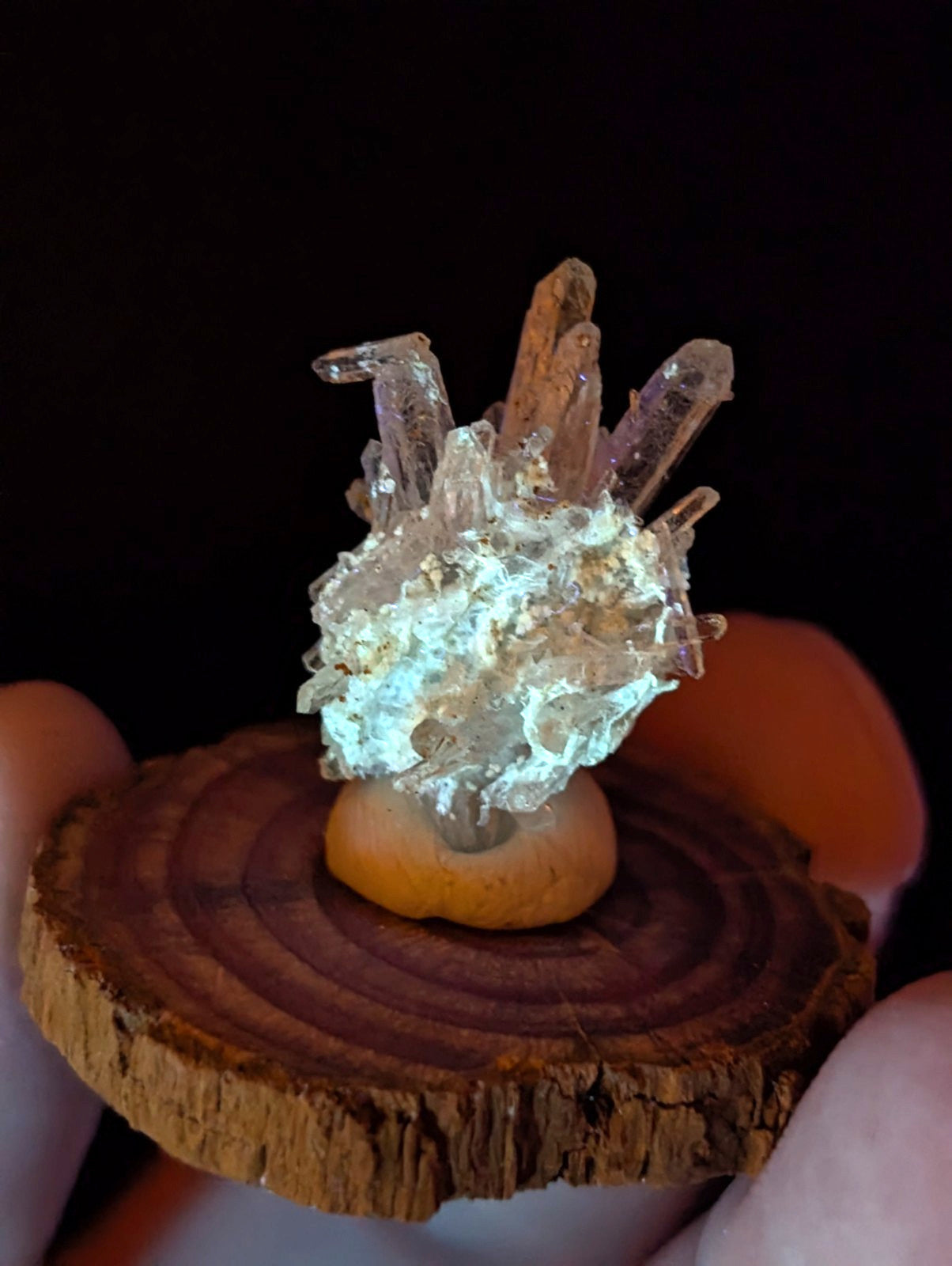 A translucent, crystalline quartz cluster with golden flecks and sharp, pointed formations rests on a circular wooden slice.