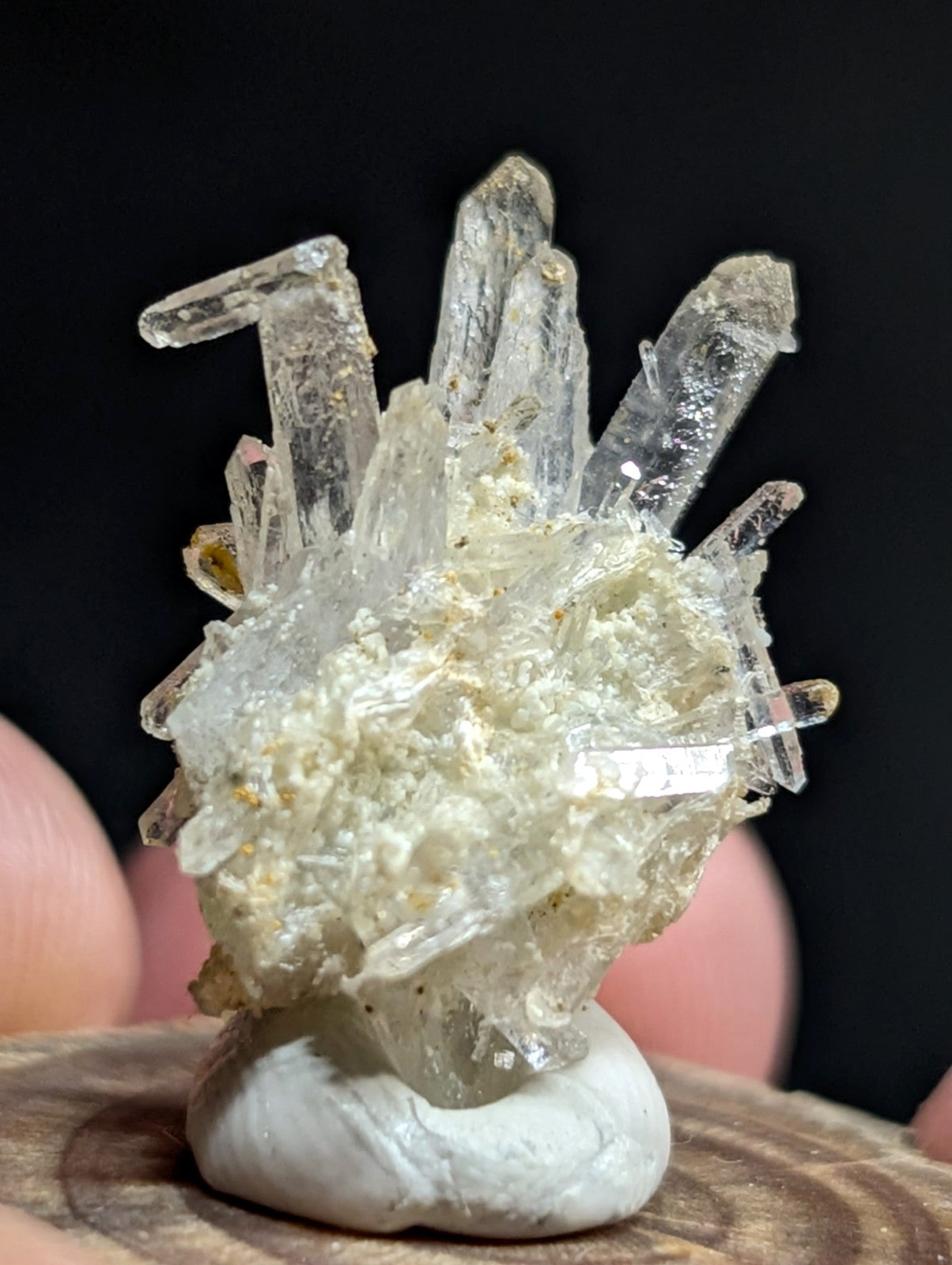 A clear, translucent quartz crystal cluster with sharp, pointed formations emerging from a textured, off-white matrix base.