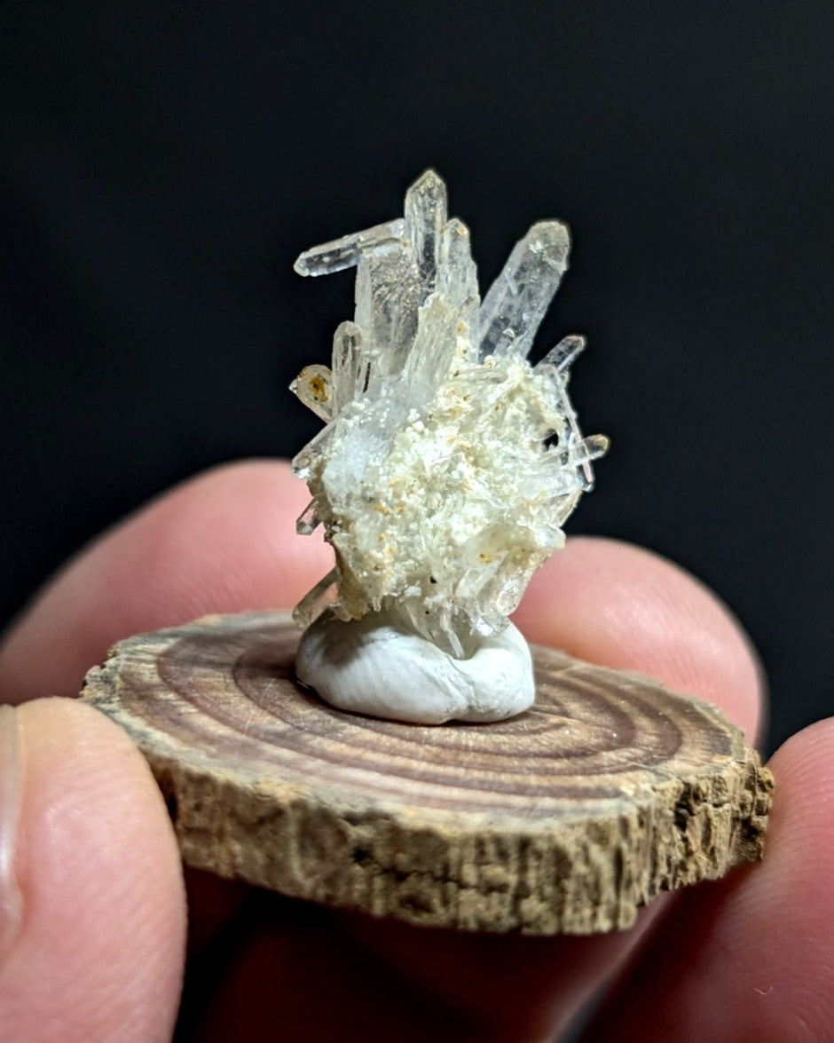 A clear quartz crystal cluster with translucent, pointed formations and a white base rests on a rustic wooden slice.
