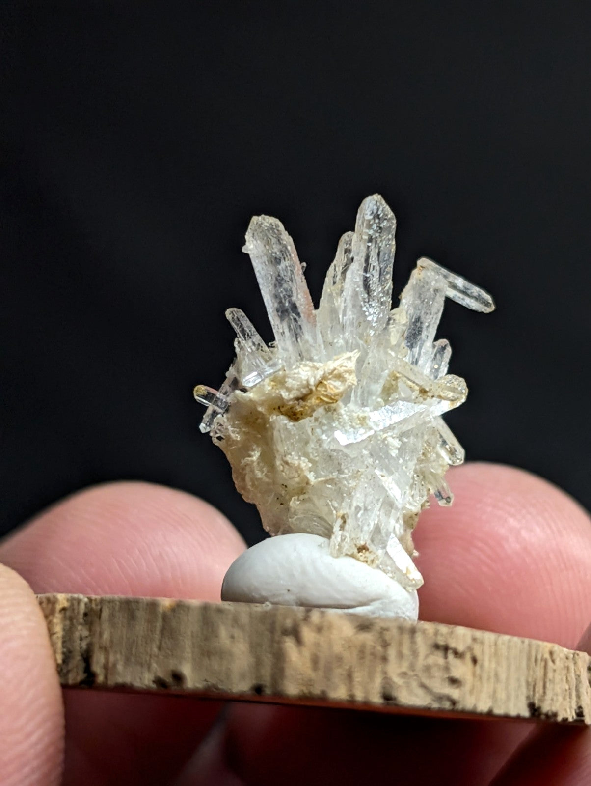 A clear, translucent quartz crystal cluster with sharp, pointed facets and a golden-brown mineral base.