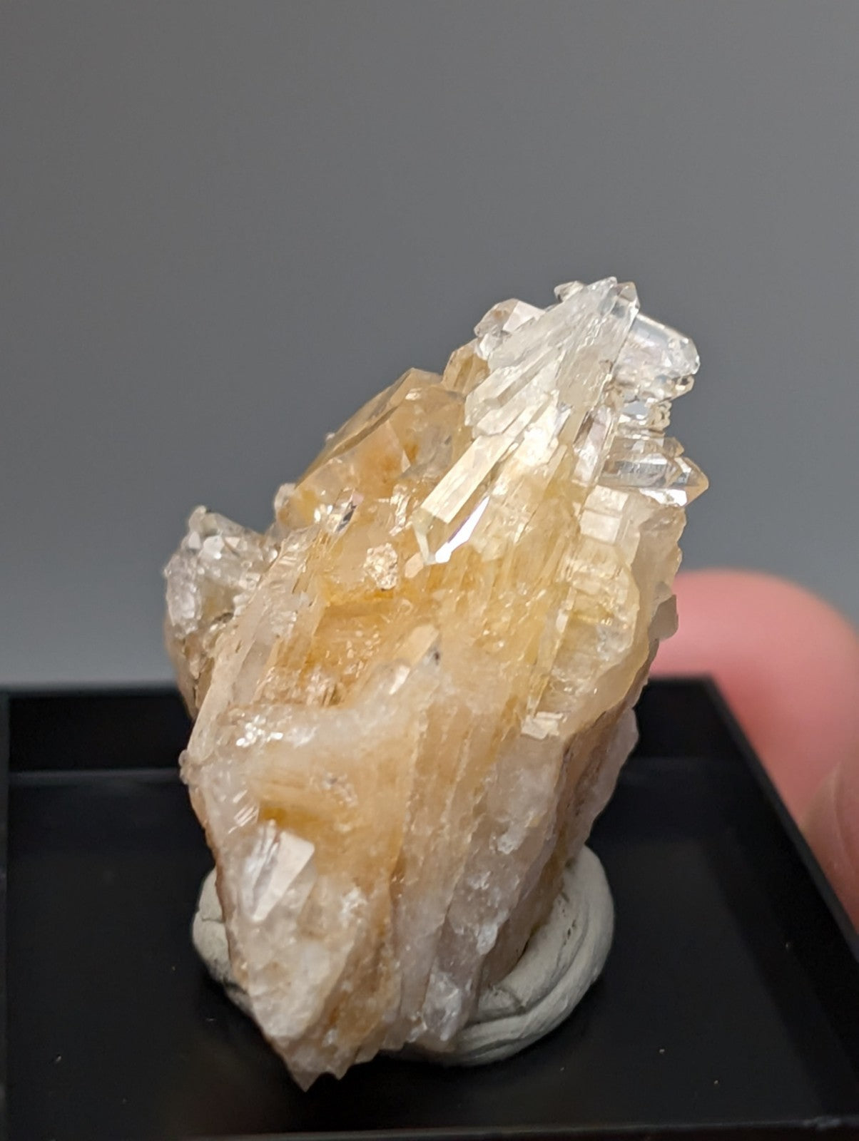 Solution quartz crystal cluster with translucent golden-yellow faceted points and rough base on photo case mount from Arkansas