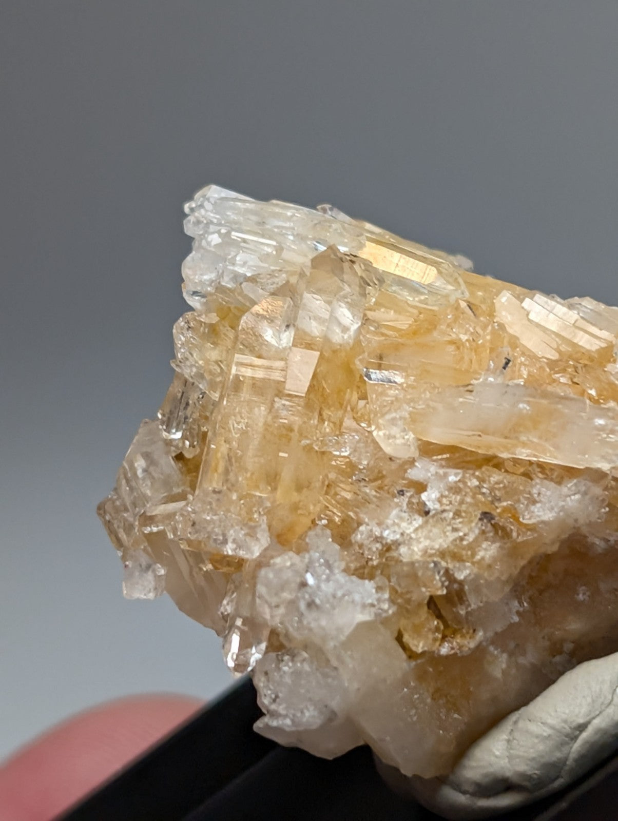 Solution quartz crystal cluster with translucent golden-yellow faceted formations in photo case from saline county arkansas