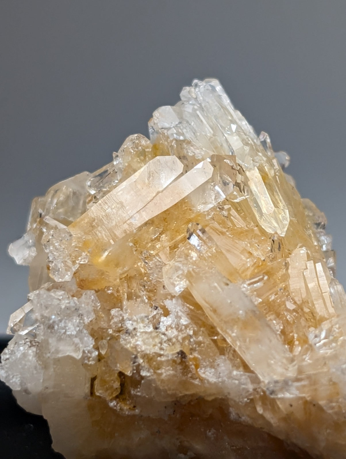 Solution quartz crystal cluster with translucent golden-yellow faceted quartz crystals on photo case from saline county arkansas