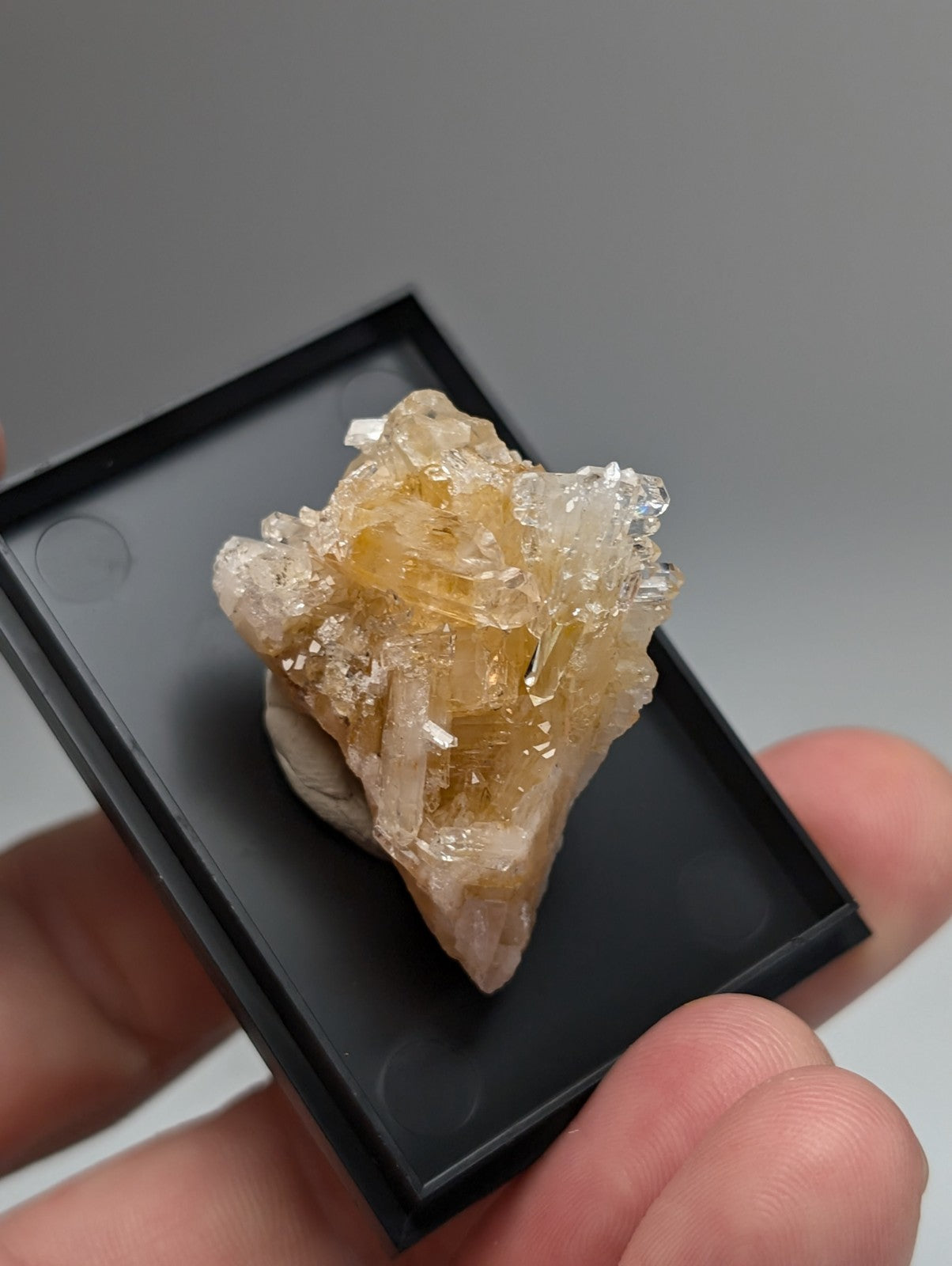 Solution quartz crystal cluster with translucent yellow and white crystals displayed in black display case from arkansas