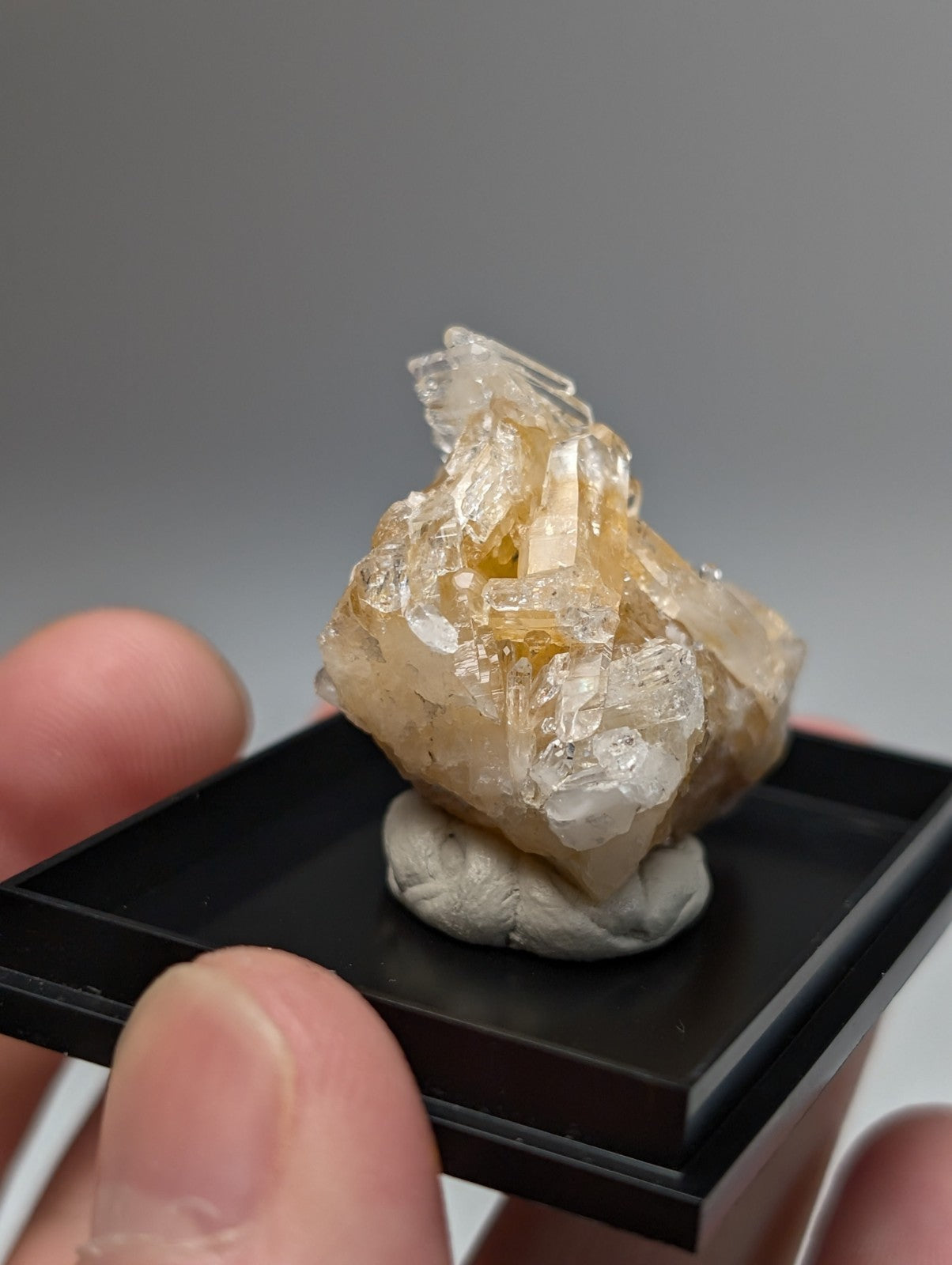 Solution quartz crystal cluster with translucent yellow and clear crystals mounted on white base in black display tray from saline county arkansas