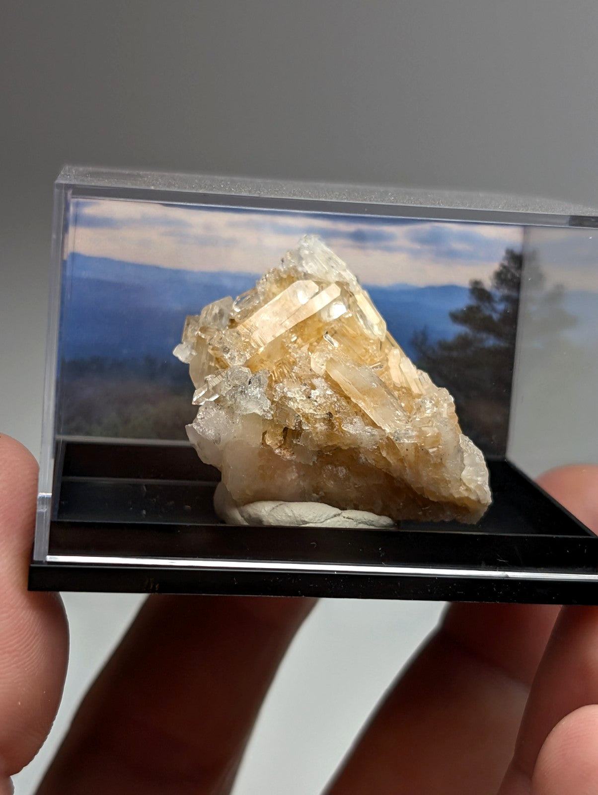 Solution quartz crystal cluster with translucent golden-yellow facets and rough base in photo case from saline county arkansas