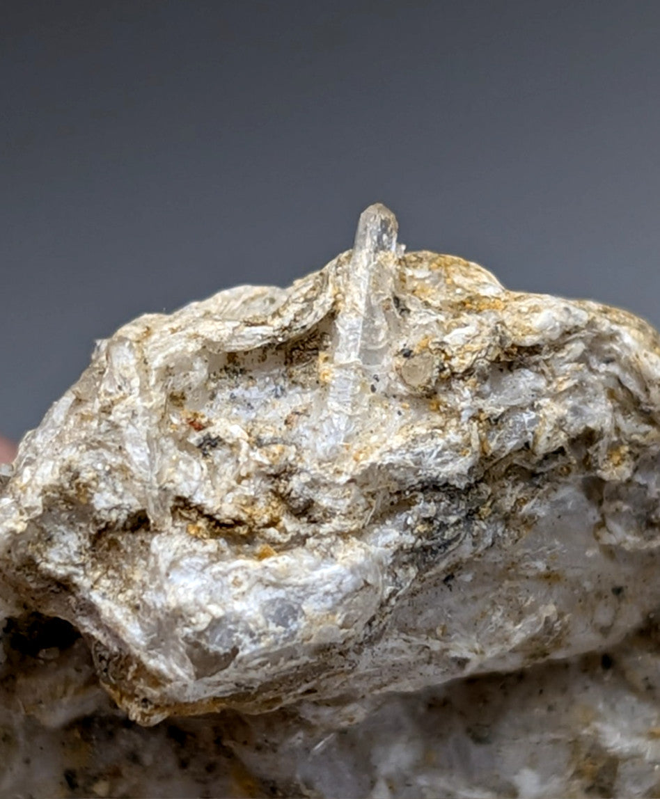 A translucent quartz crystal emerging from a white and golden rectorite matrix from Jeffrey Quarry Arkansas