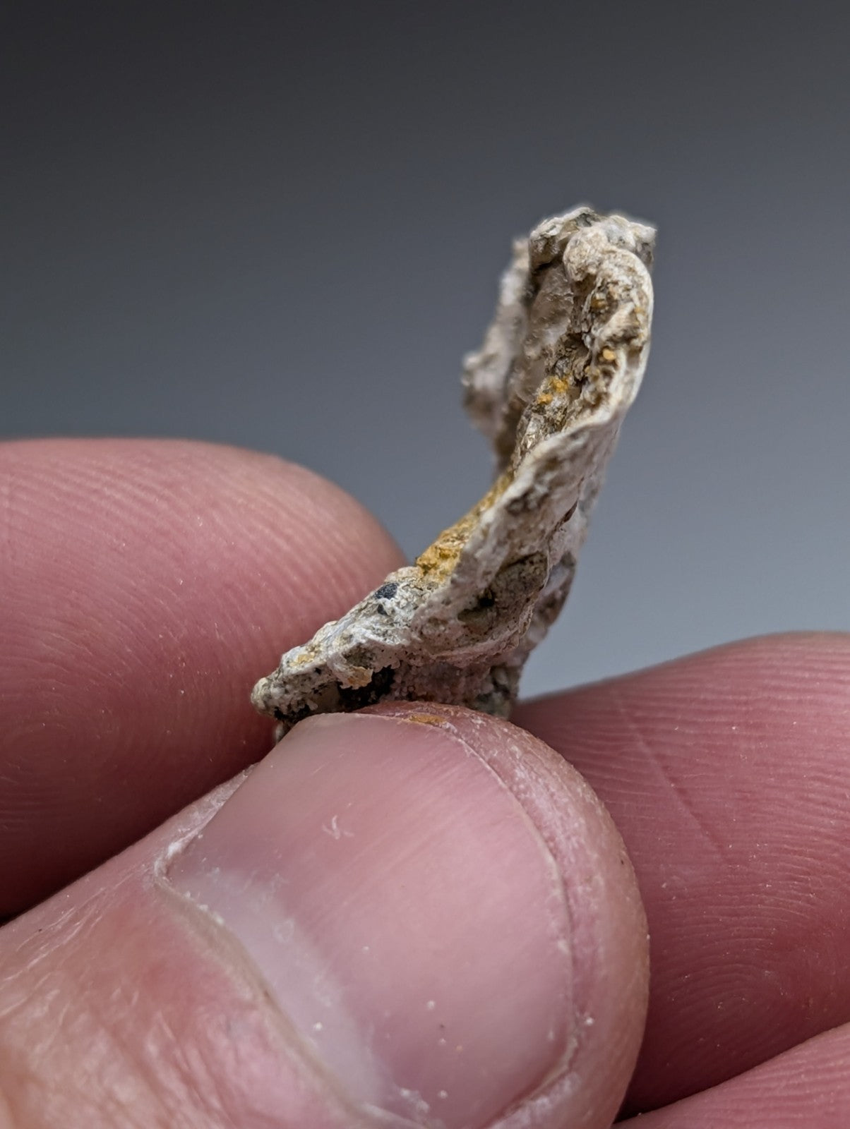 A weathered irregular fragment of white and yellowish solution quartz in rectorite from jeffrey quarry arkansas