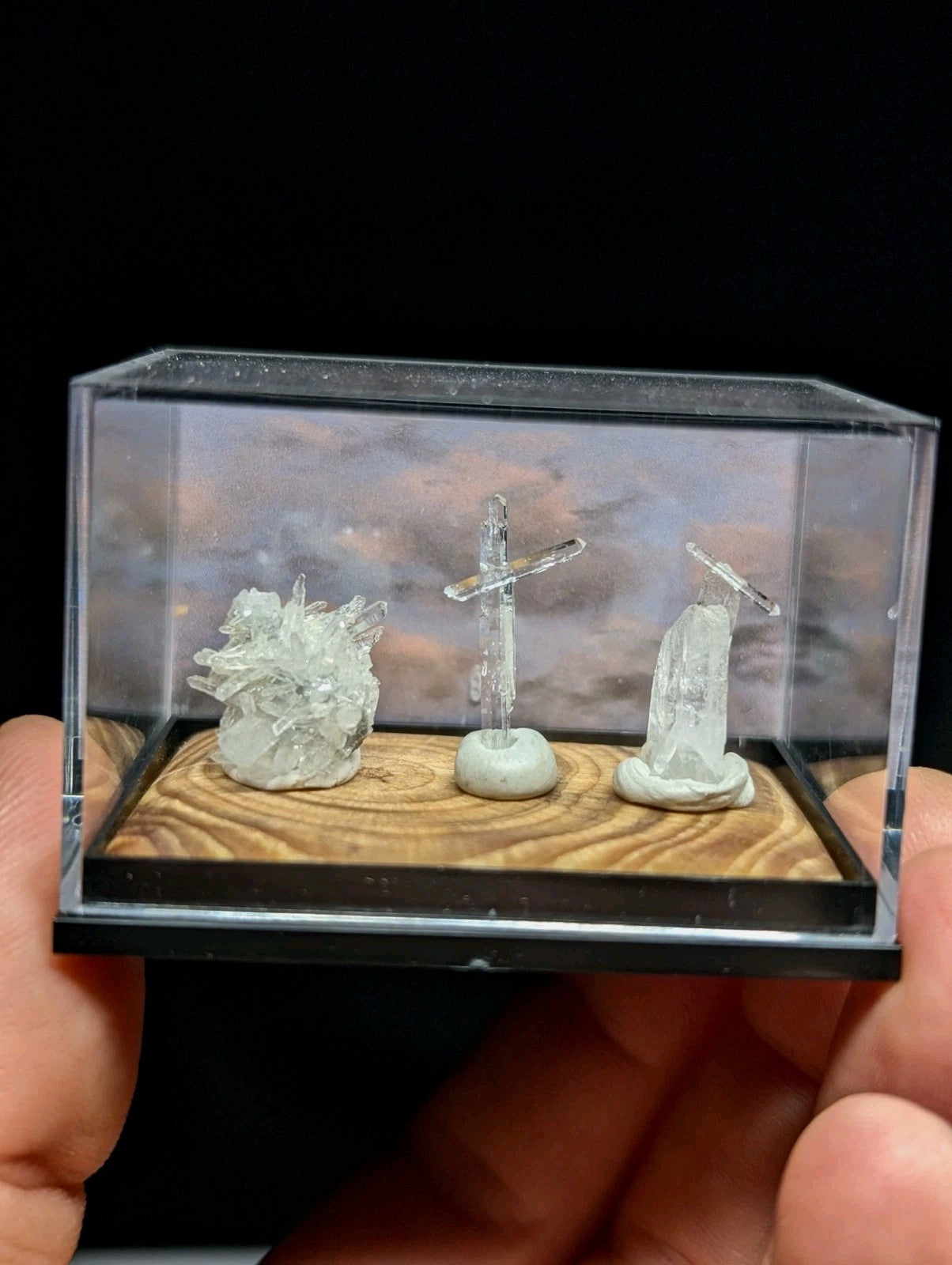 透明水晶矿物收藏盒，内含三件天然晶体标本。