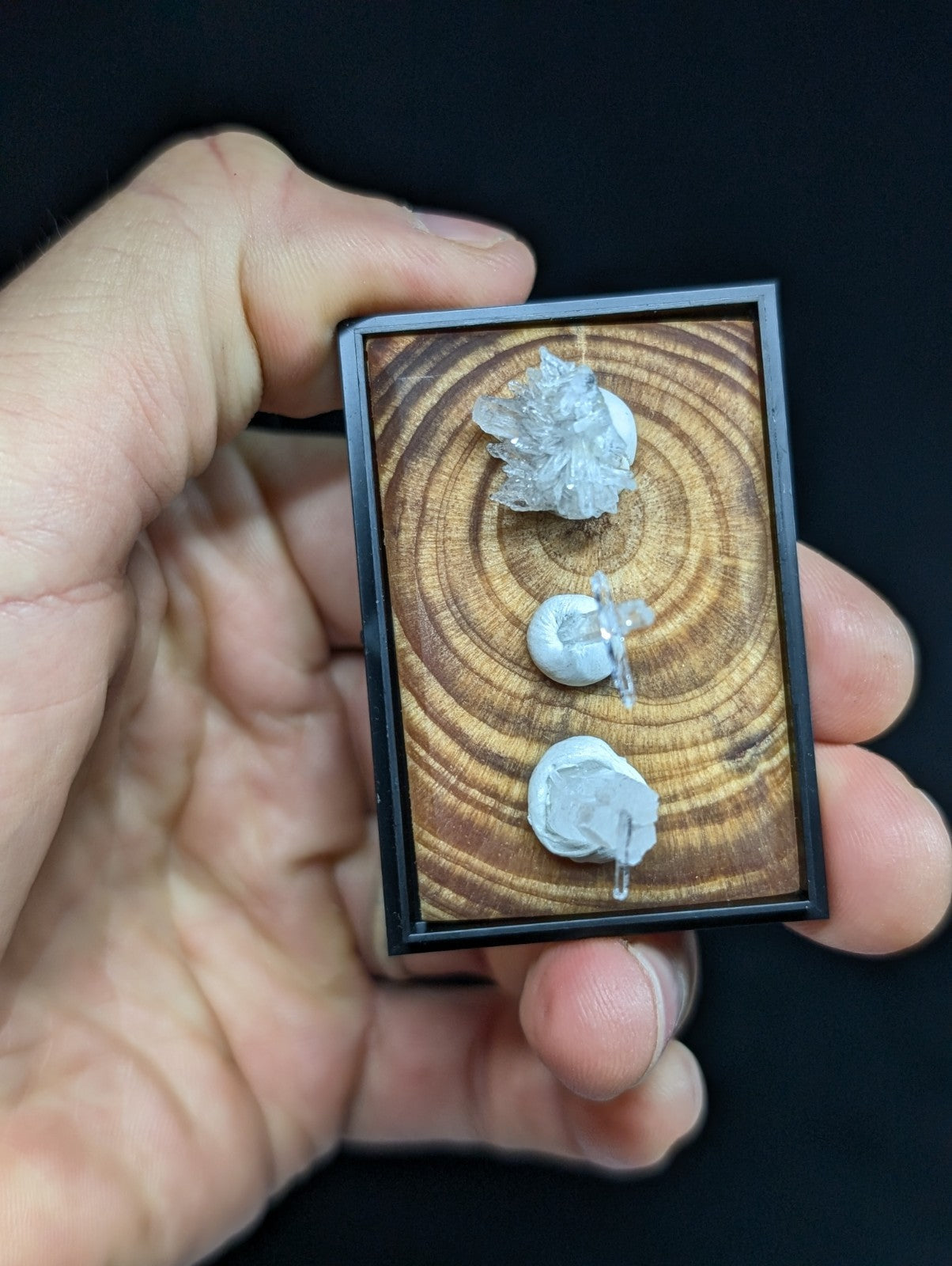 A framed display showcasing three distinct white mineral specimens set against a circular wood grain background.