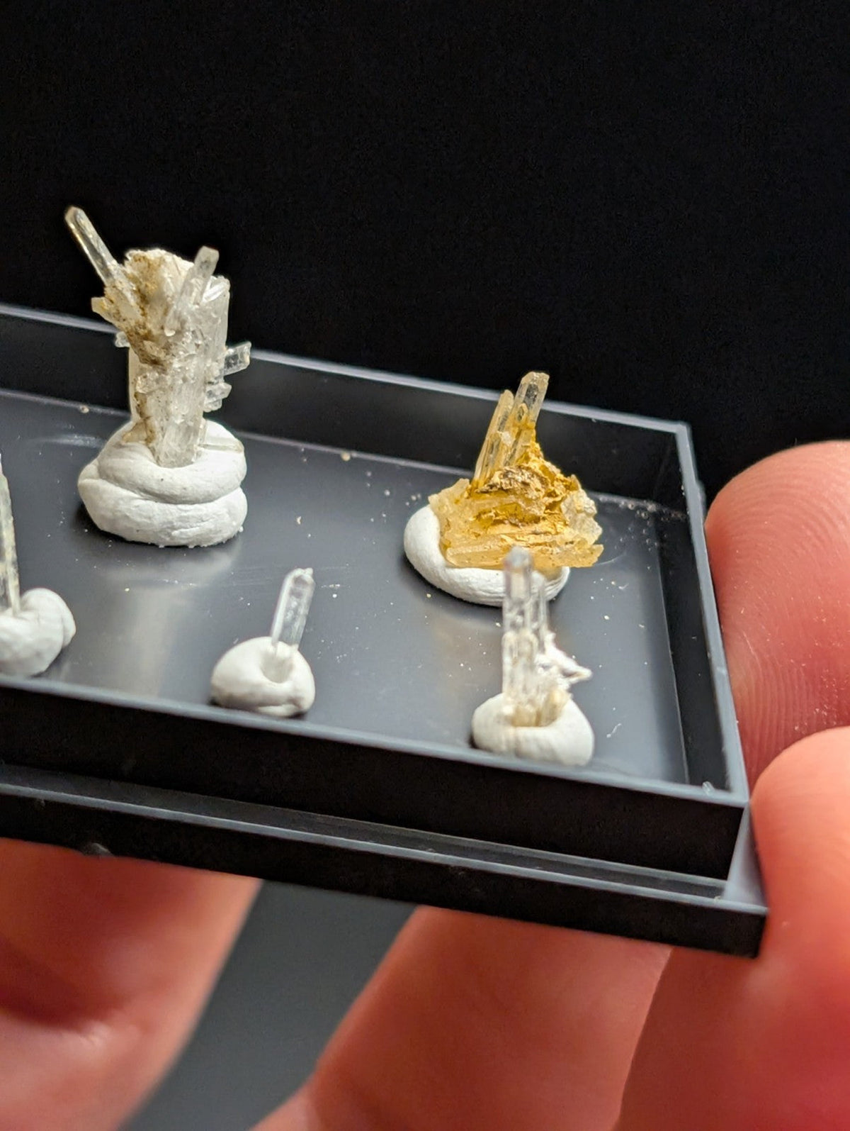 Miniature crystal specimens mounted on white bases within a black display tray.