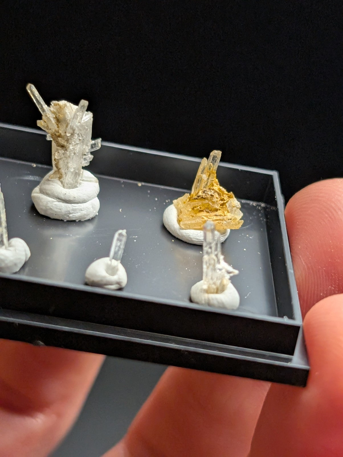 Miniature crystal specimens mounted on white bases within a black display tray.
