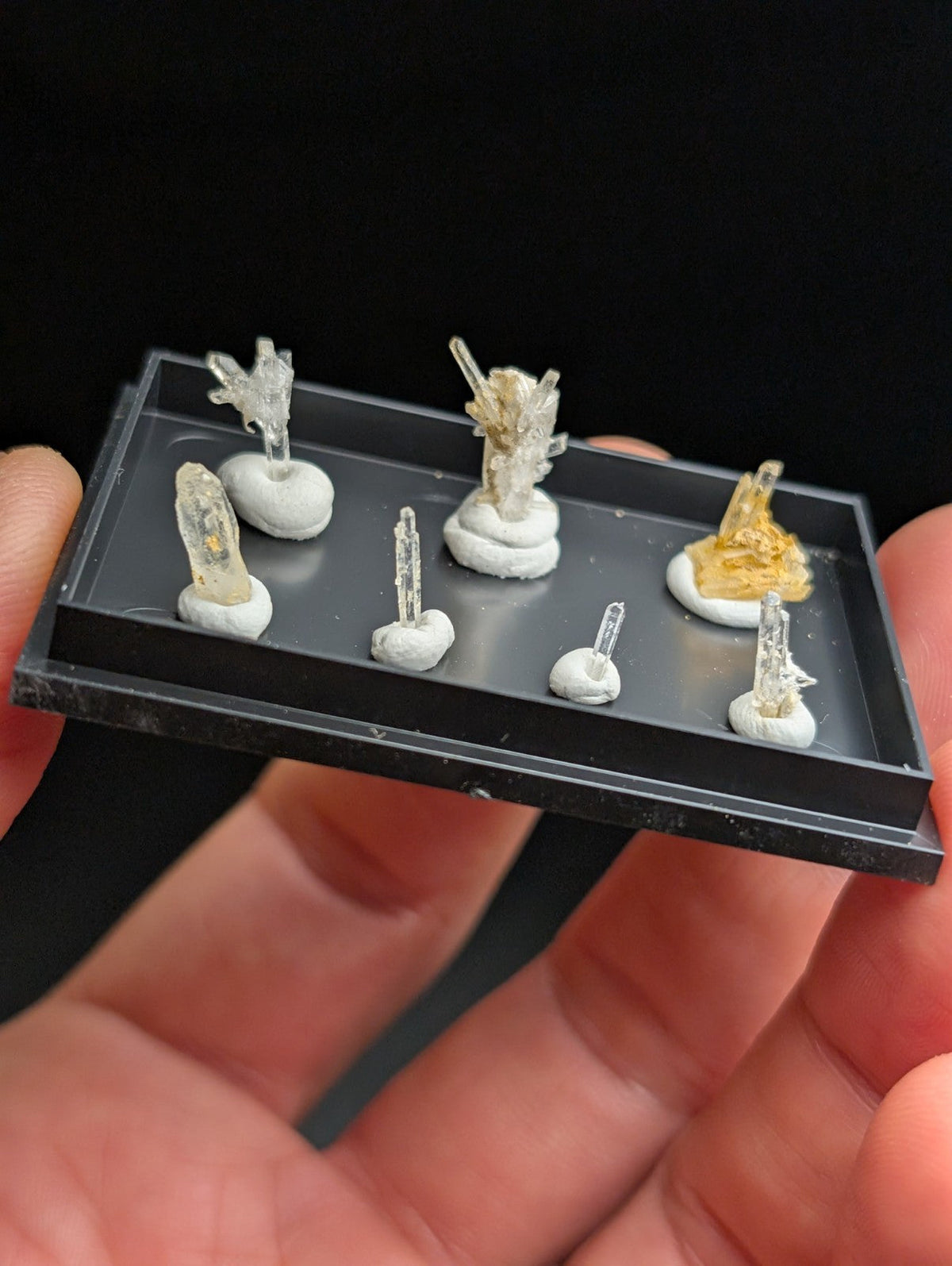 Black rectangular display tray holding miniature crystal specimens mounted on white bases.