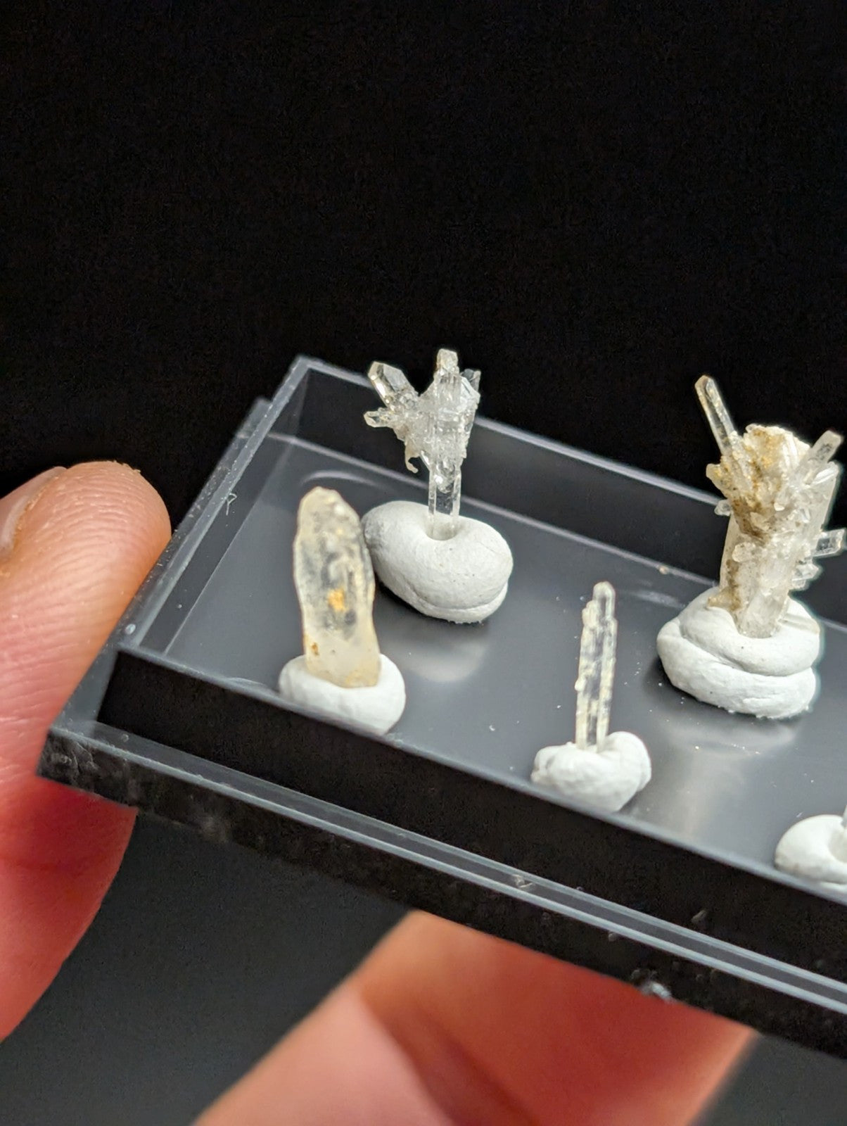 Clear quartz crystal specimens mounted on white resin bases within a black plastic display tray.