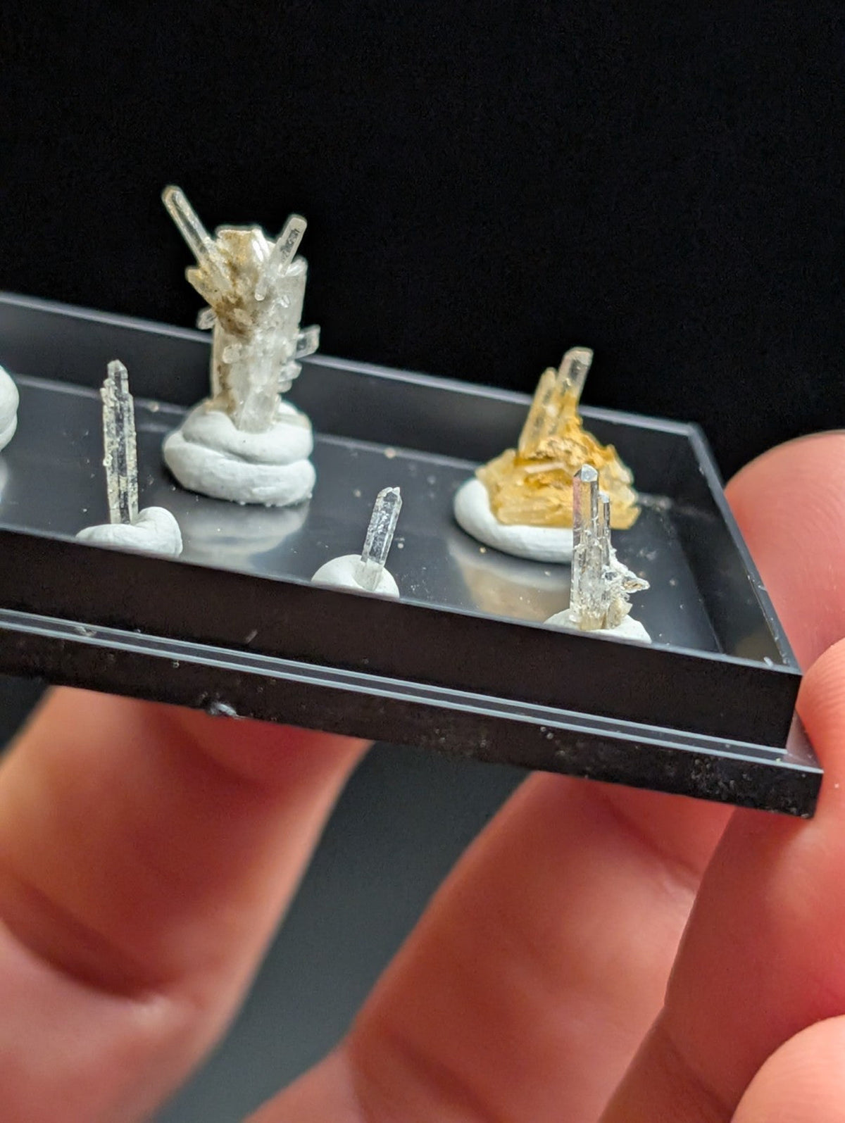 Miniature crystal specimens with clear, transparent quartz formations and golden metallic inclusions set on white resin bases within a black display tray.