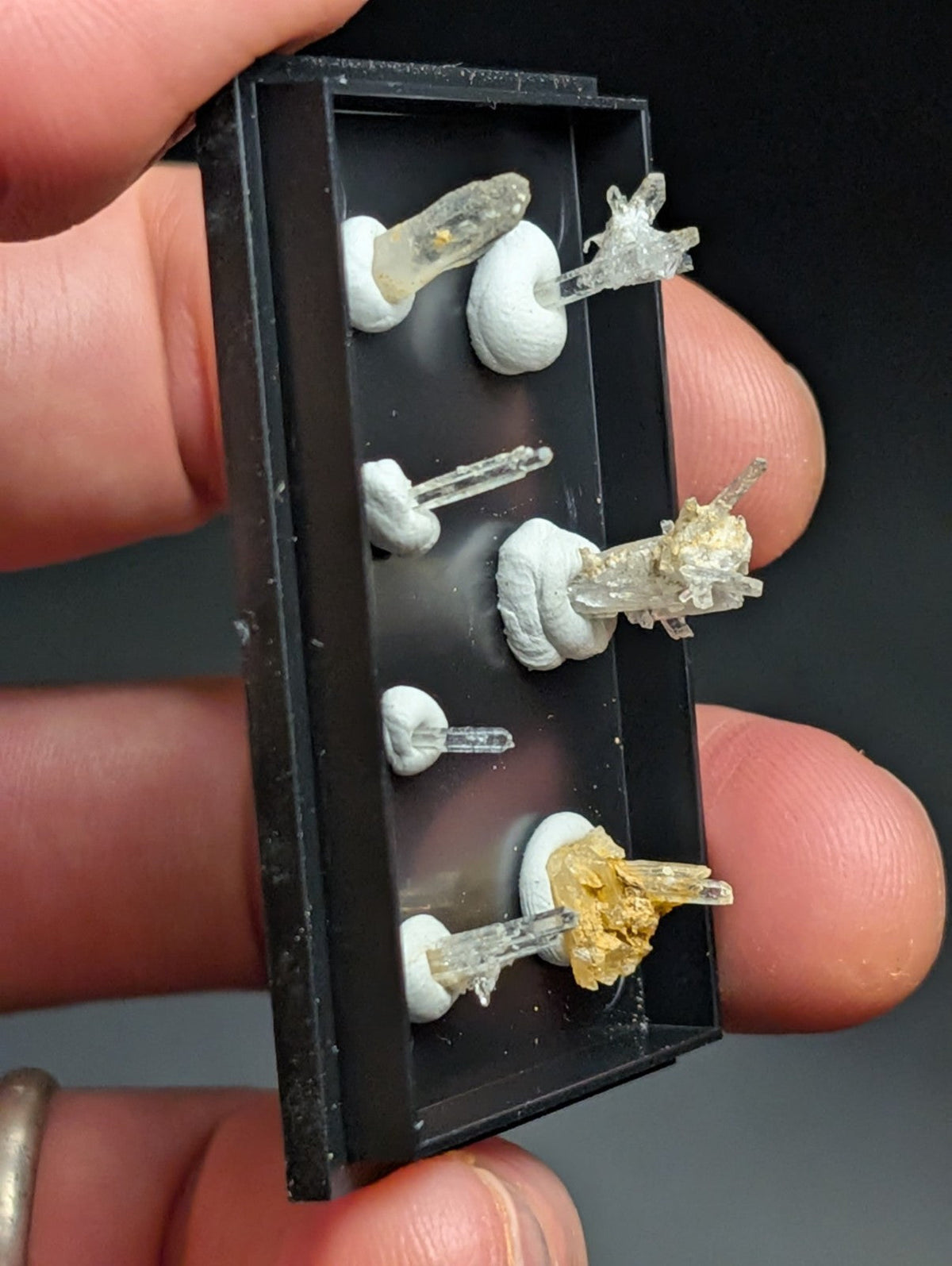 Black plastic display case holding six clear quartz crystal specimens mounted on white ceramic bases.
