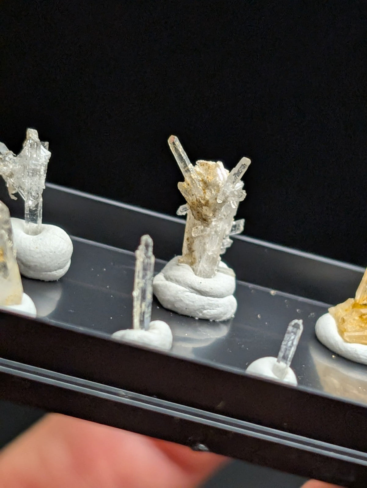 Clear quartz crystals with golden-brown mineral inclusions, mounted on white plaster bases.