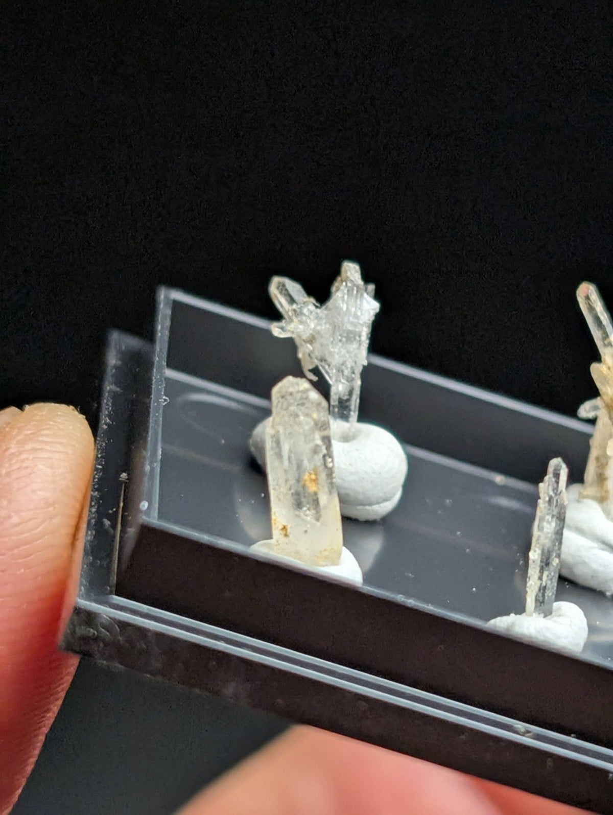 Clear quartz crystal specimens mounted on white resin bases within a transparent display tray.