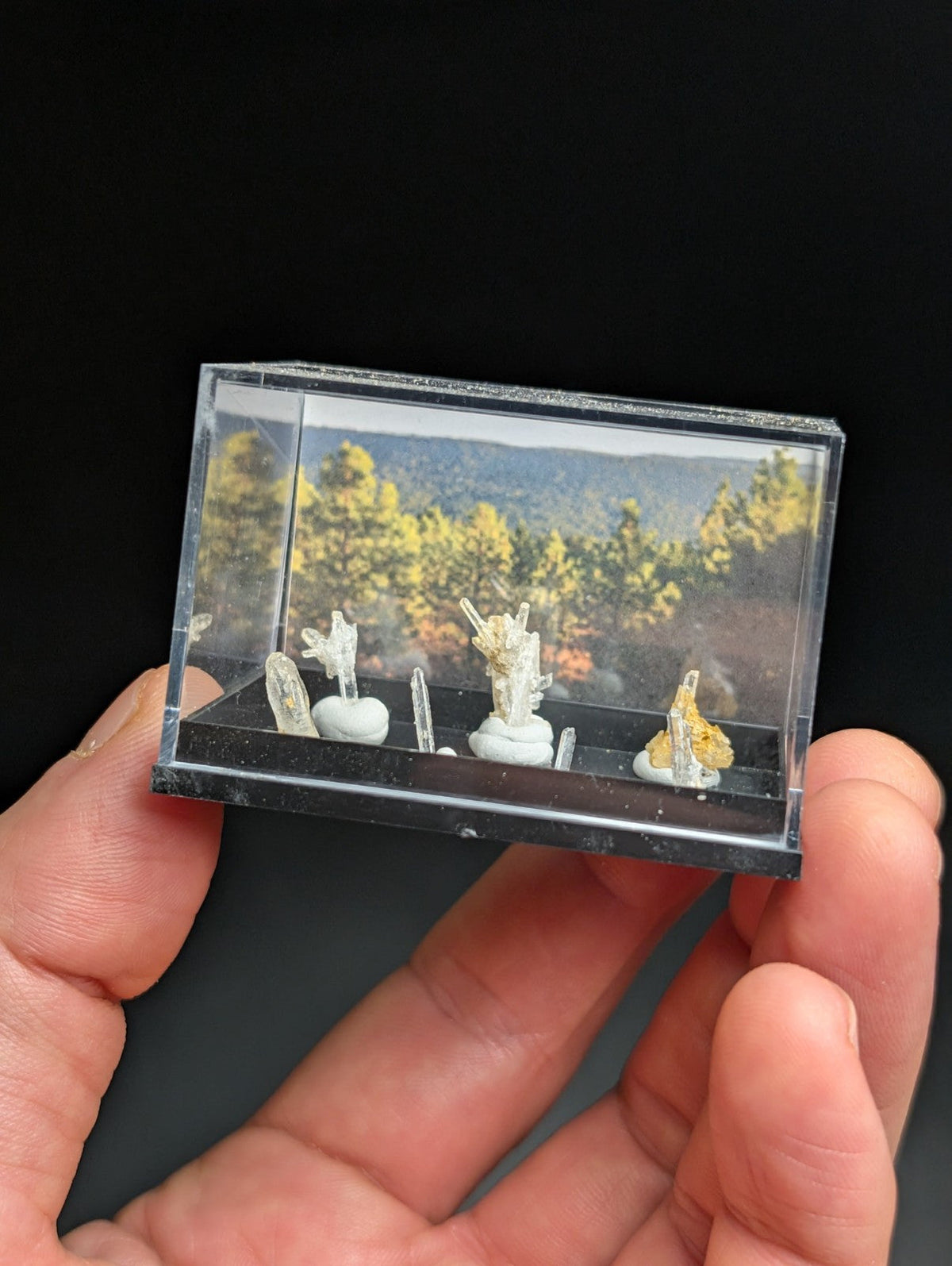A clear plastic display case holding miniature mineral specimens with white and golden crystalline formations set against a printed landscape backdrop.